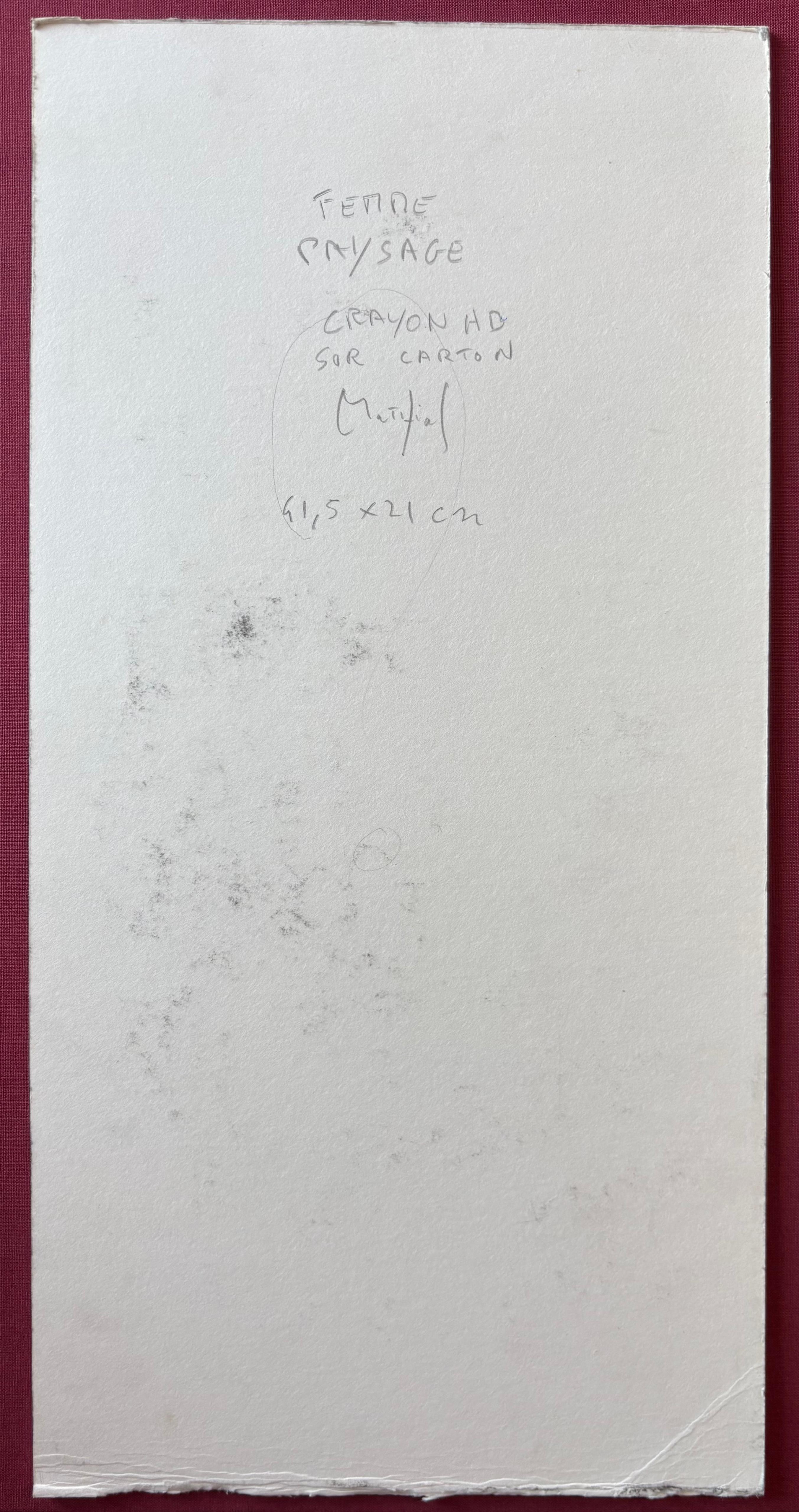 Femme Paysage de Grégoire Mathias - Dibujo en grafito de una mujer en venta 2