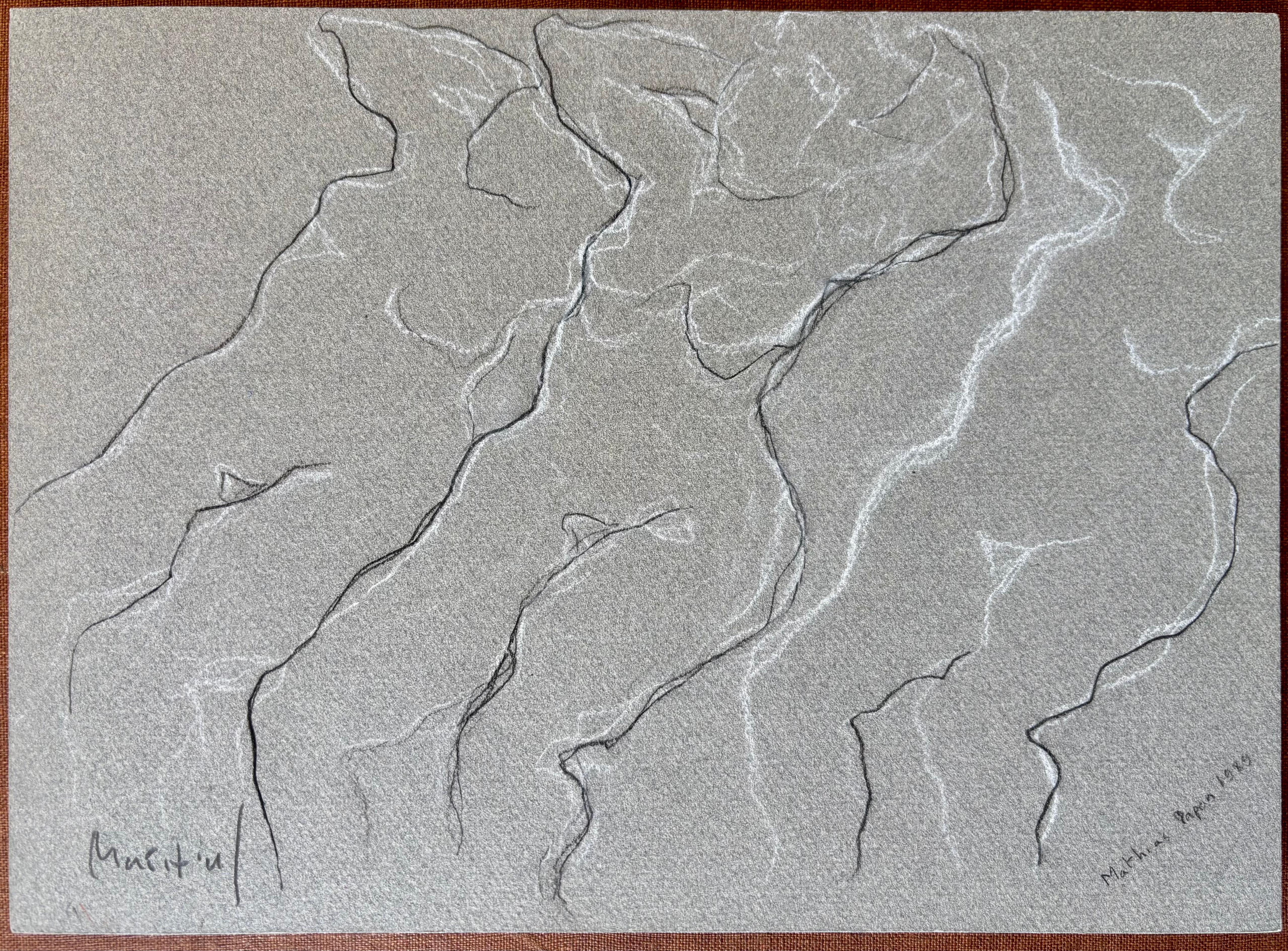 Le Sofa (The Couch)
Black and white chalk on grey board
23.9 x 33 cm

This expressive drawing by Grégoire Mathias features a sequence of intertwined nude forms flowing in and out of abstraction. Executed in black and white chalk on grey board, the