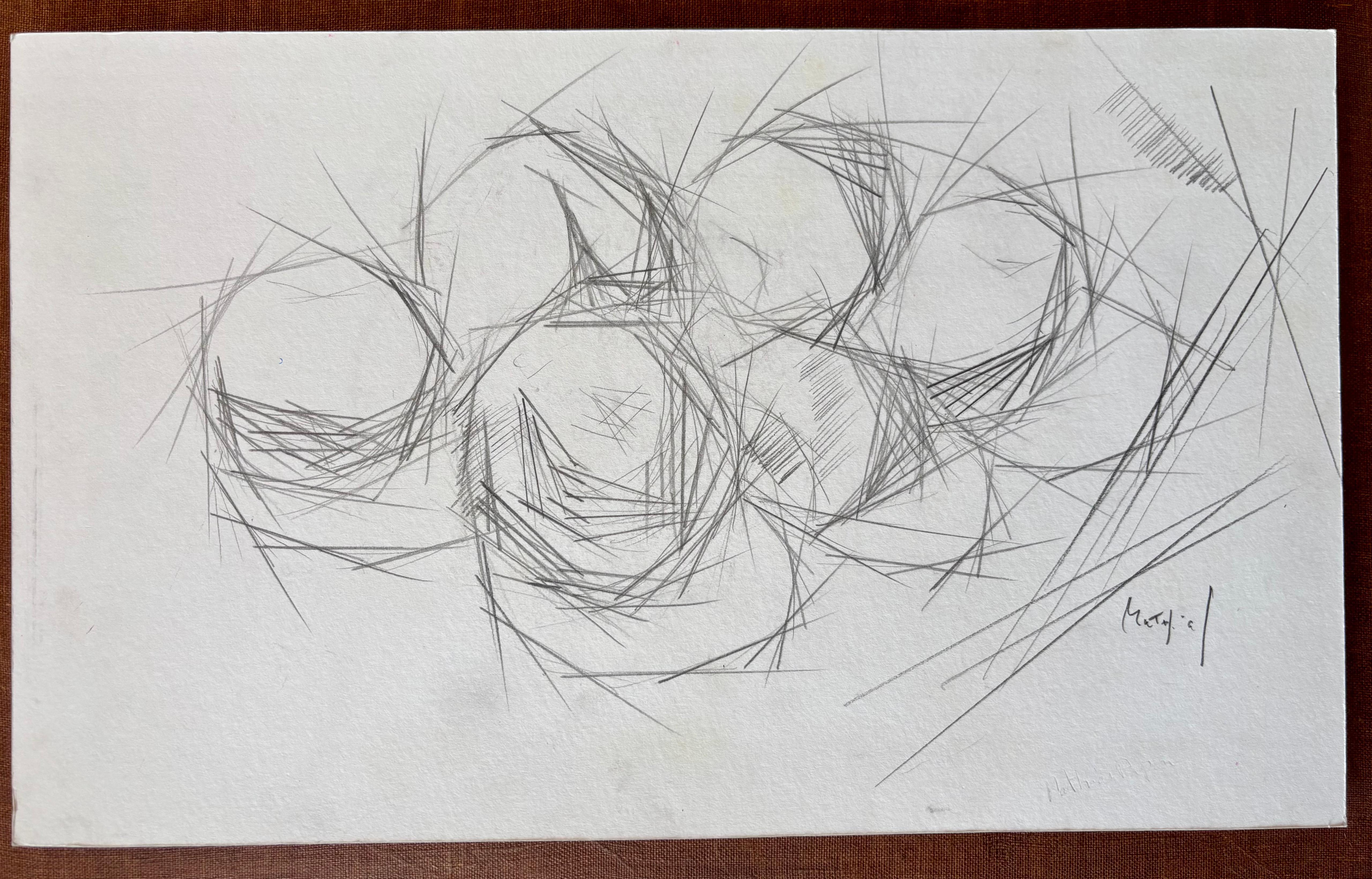 Planta Dibujos y acuarelas