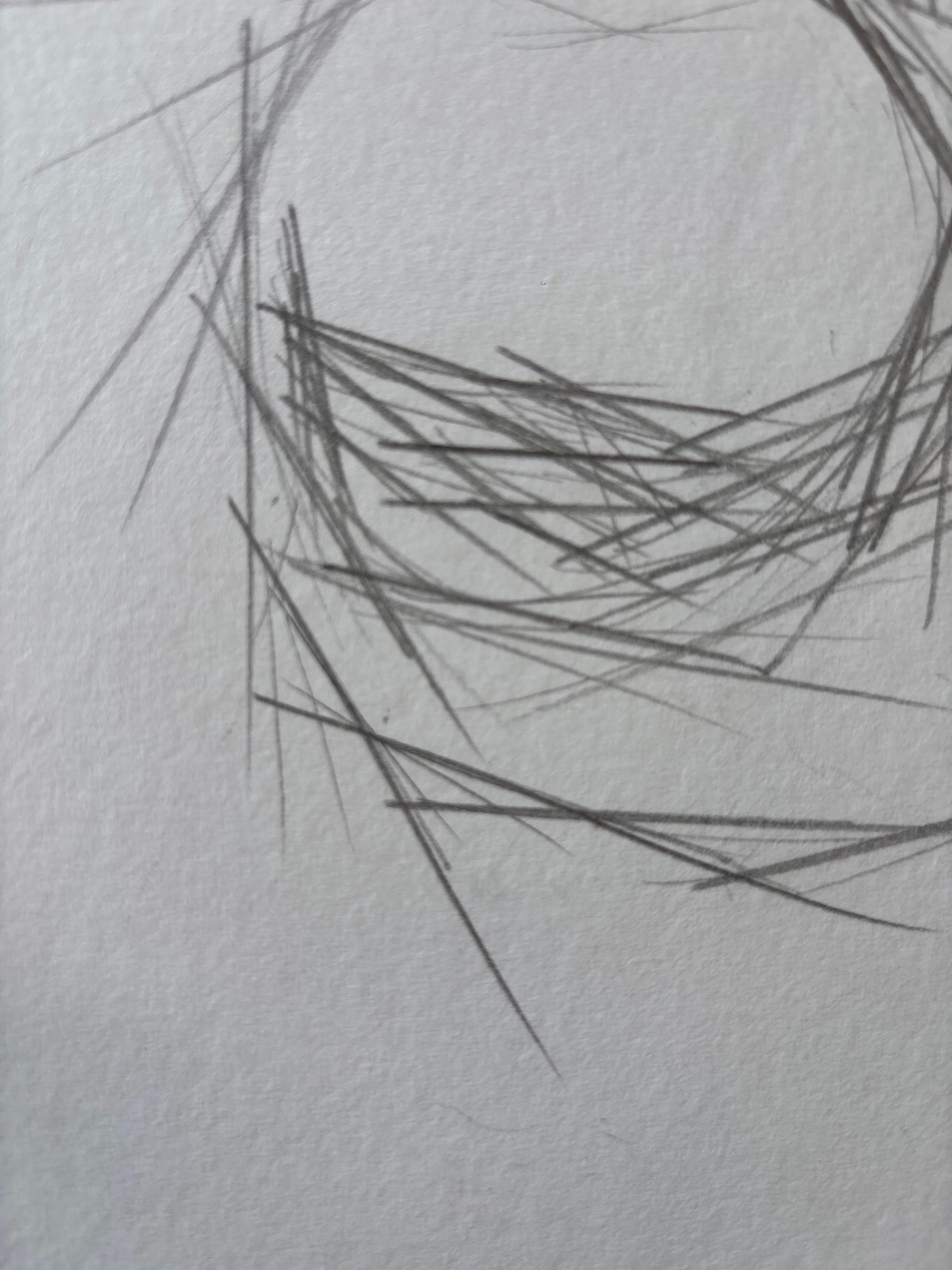Pommes en Rythmes Droits by Grégoire Mathias – Cubist Pencil Still Life For Sale 1