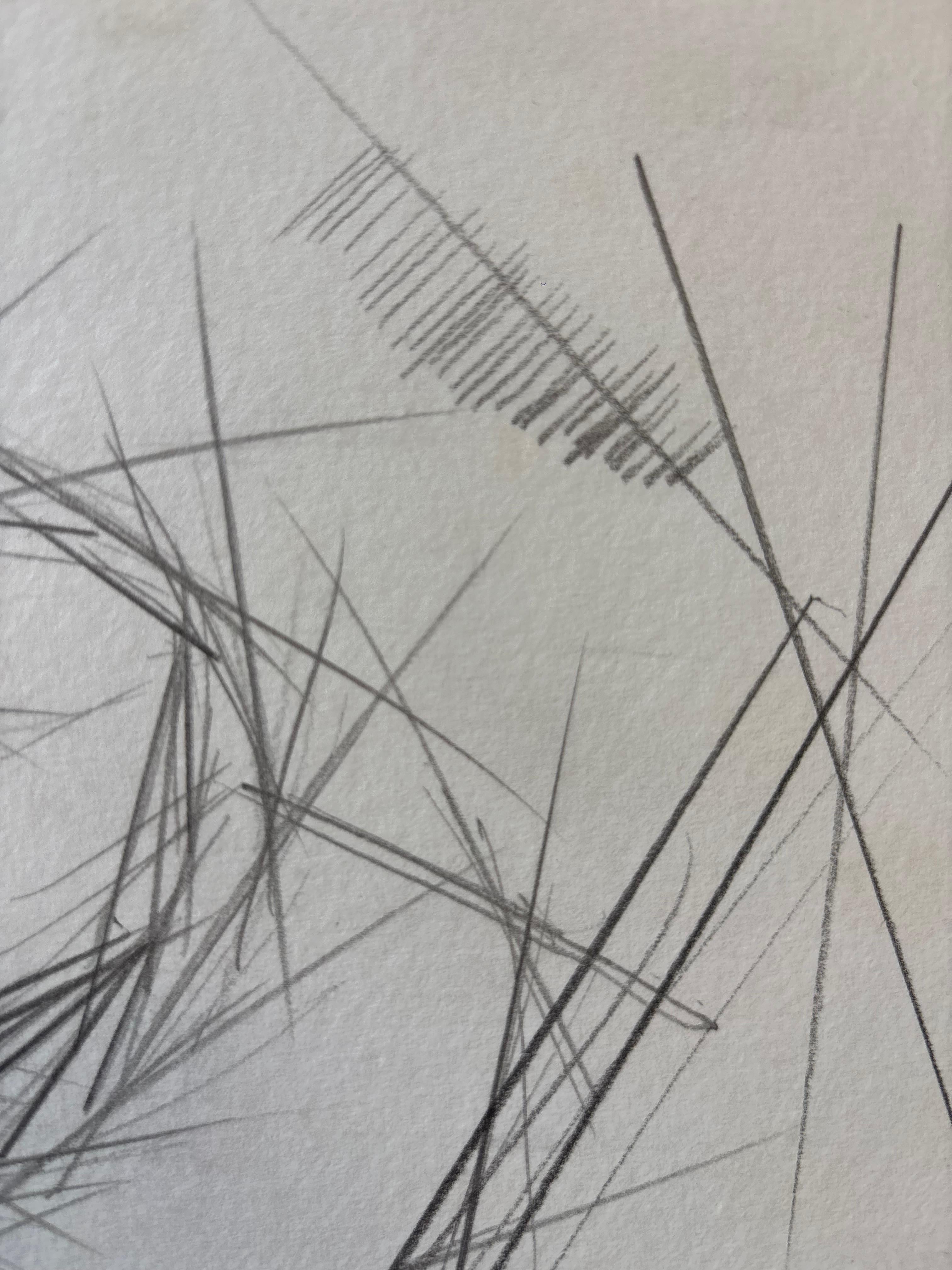 Pommes en Rythmes Droits by Grégoire Mathias – Cubist Pencil Still Life For Sale 3