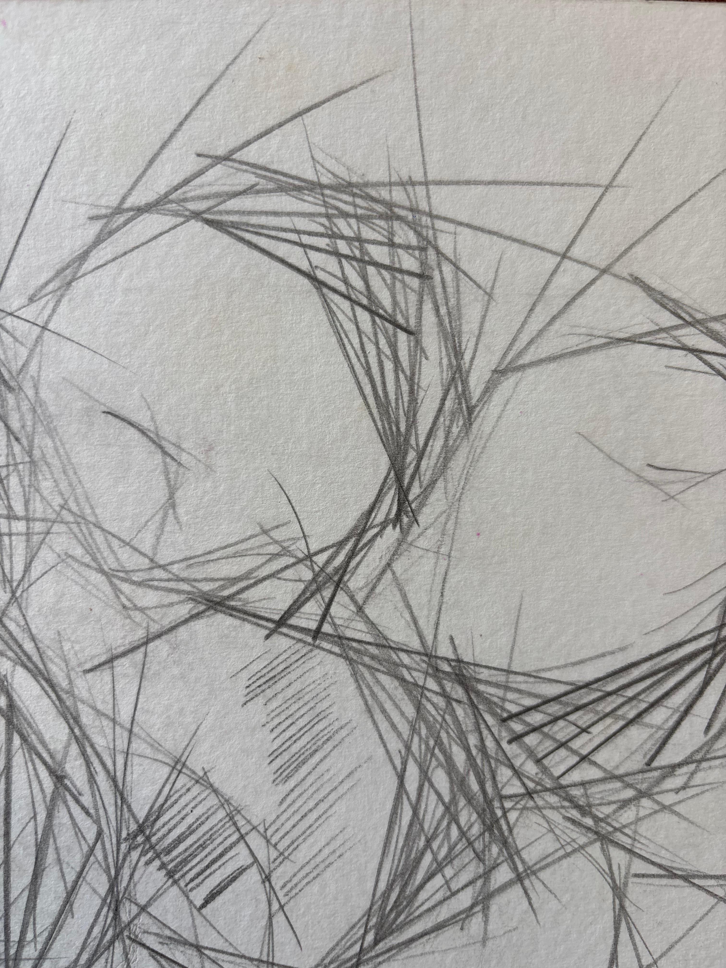 Pommes en Rythmes Droits by Grégoire Mathias – Cubist Pencil Still Life For Sale 2