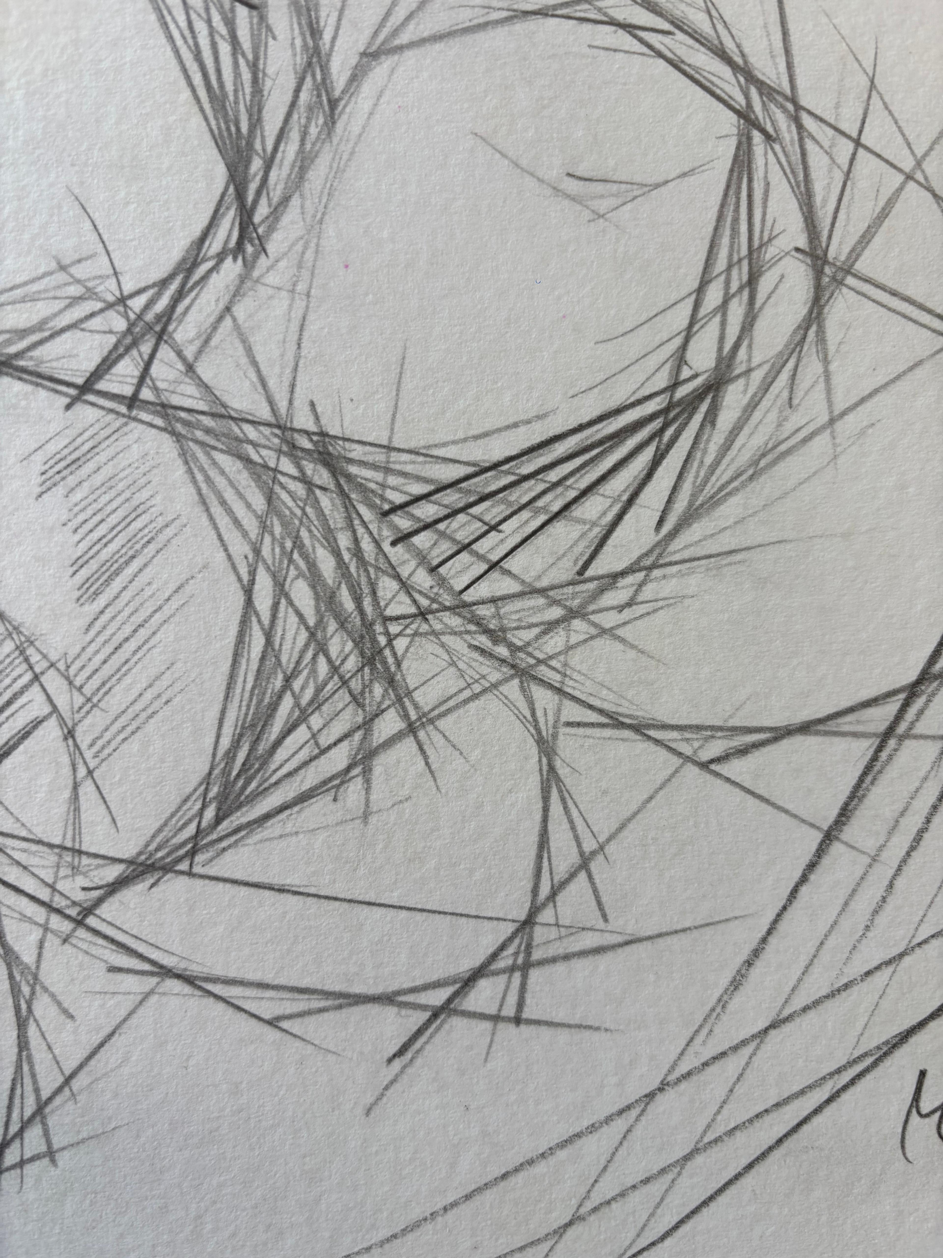 Pommes en Rythmes Droits by Grégoire Mathias – Cubist Pencil Still Life For Sale 5