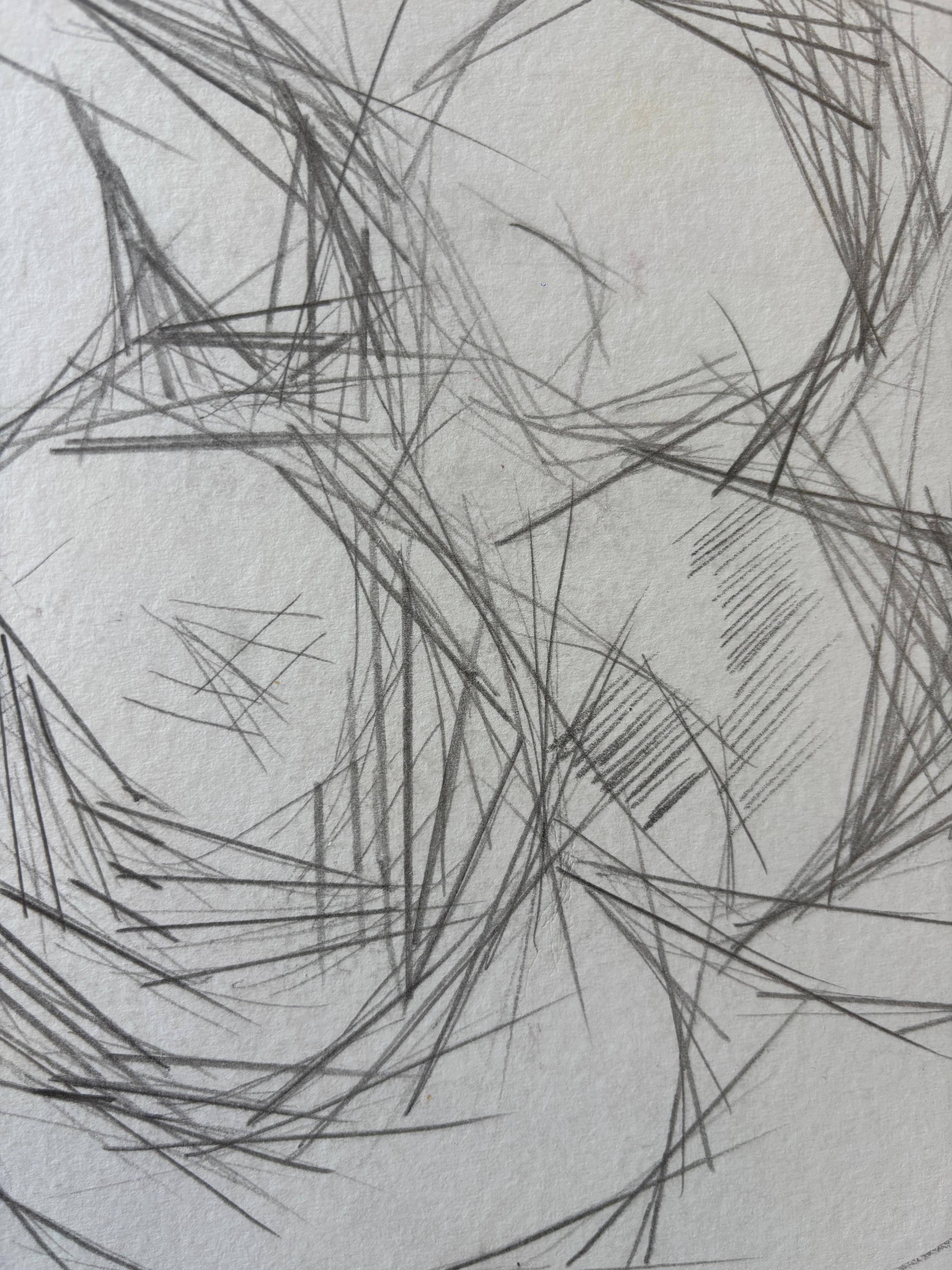 Pommes en Rythmes Droits by Grégoire Mathias – Cubist Pencil Still Life For Sale 6