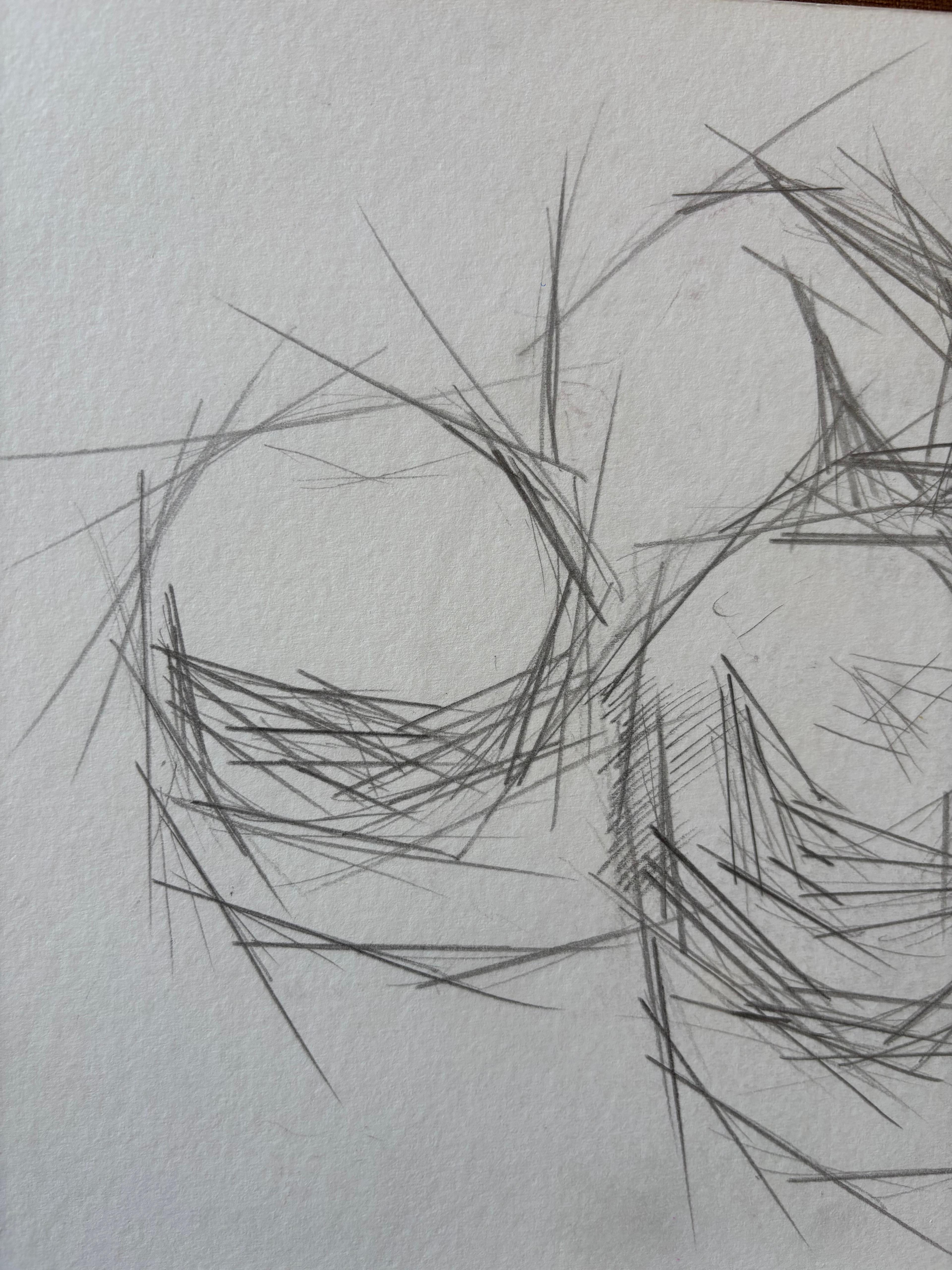 Pommes en Rythmes Droits by Grégoire Mathias – Cubist Pencil Still Life For Sale 7