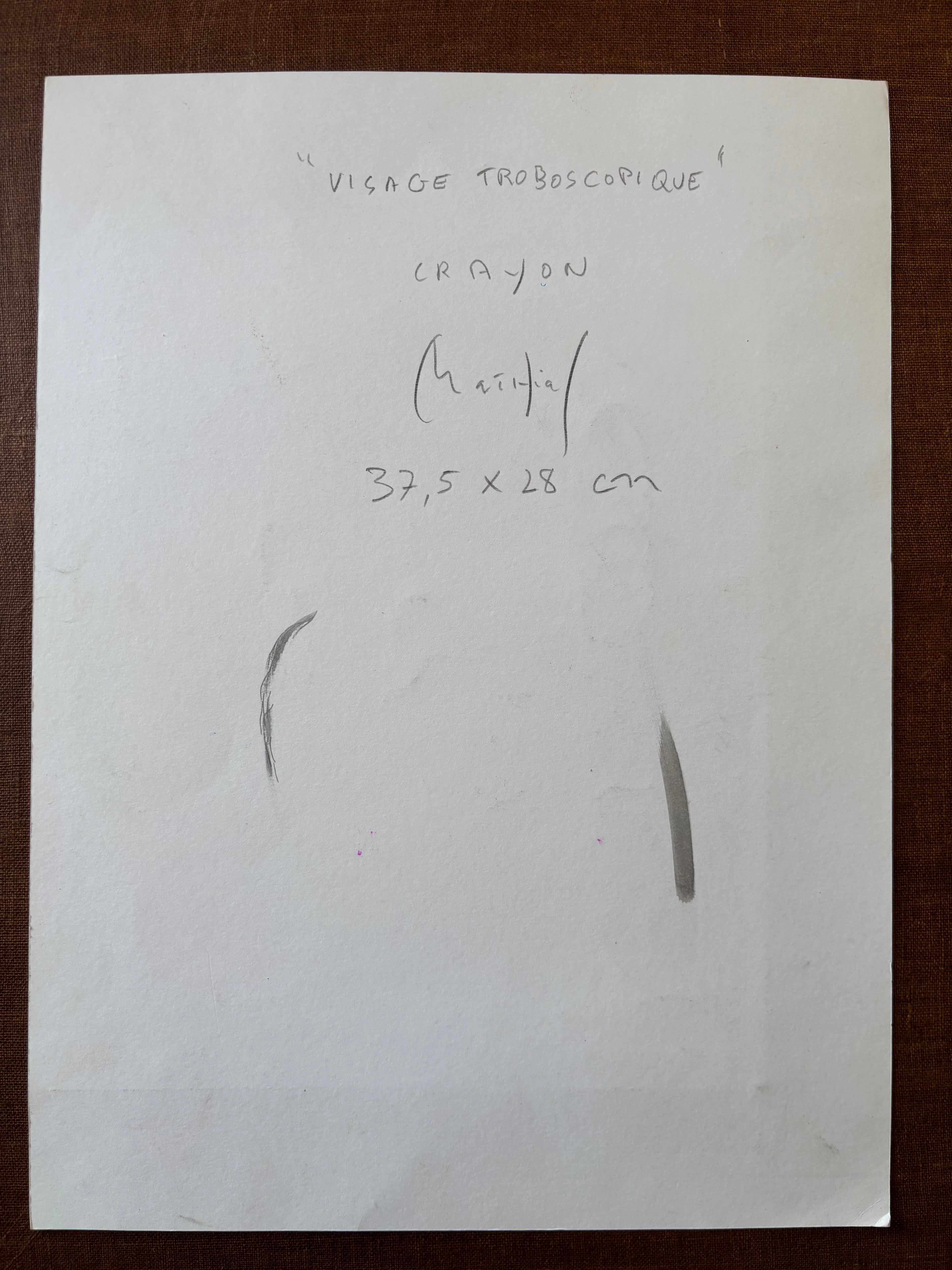 Visage Stroboscopique, by Grégoire Mathias – Diachronic Pencil Portrait For Sale 1