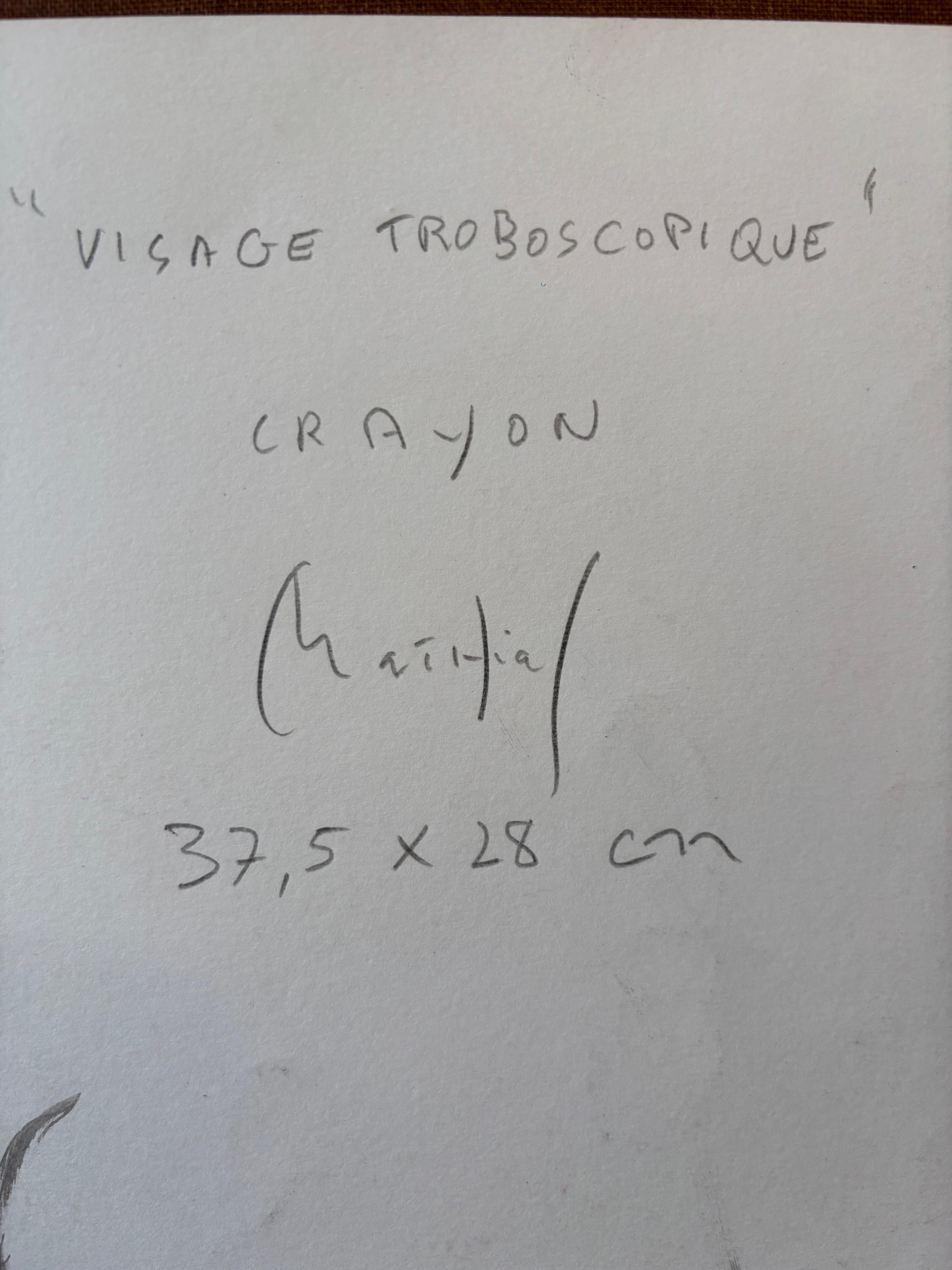 Visage Stroboscopique, by Grégoire Mathias – Diachronic Pencil Portrait For Sale 2