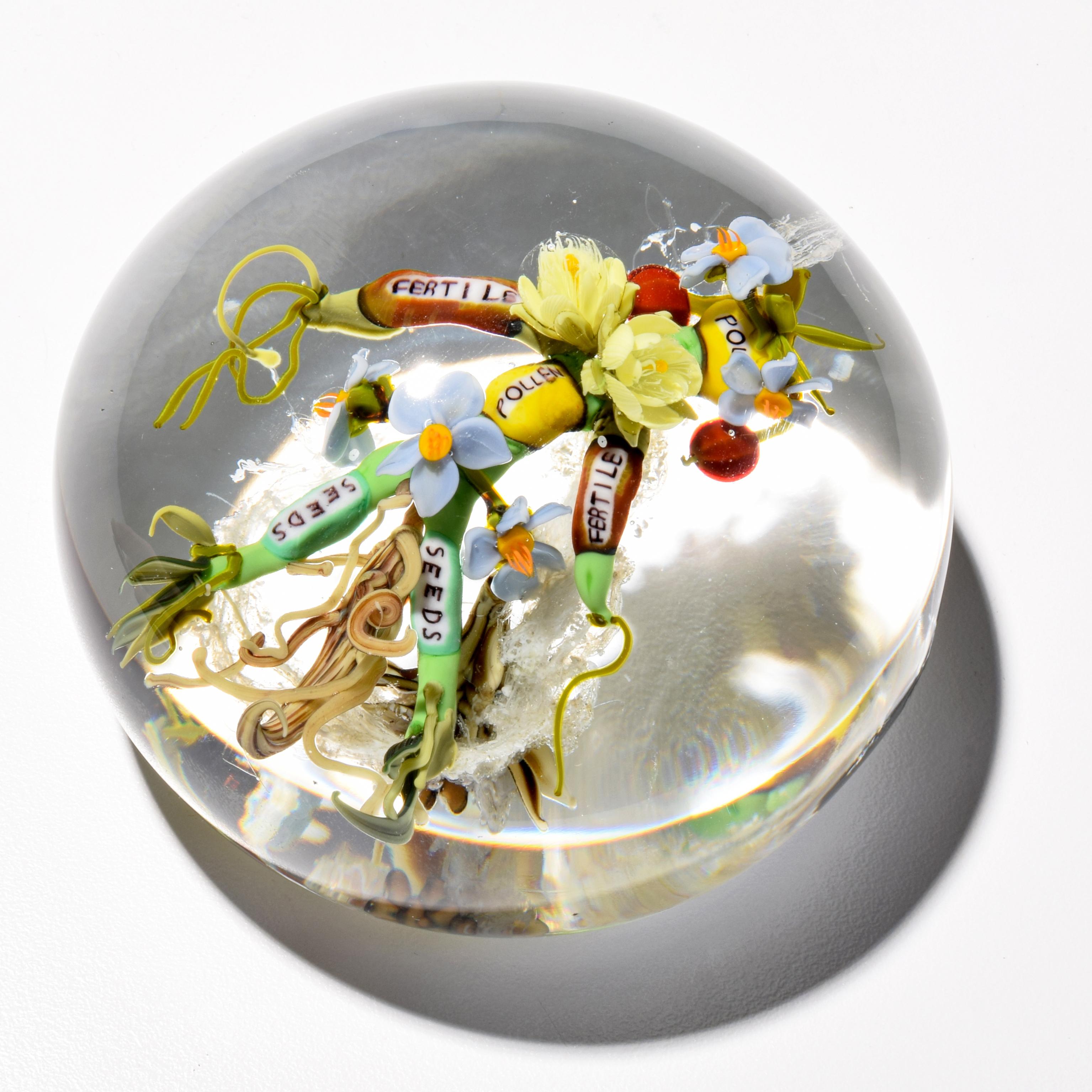 Paul J. Stankard Floral, Seeds & Pollen Oblate Paperweight For Sale 3