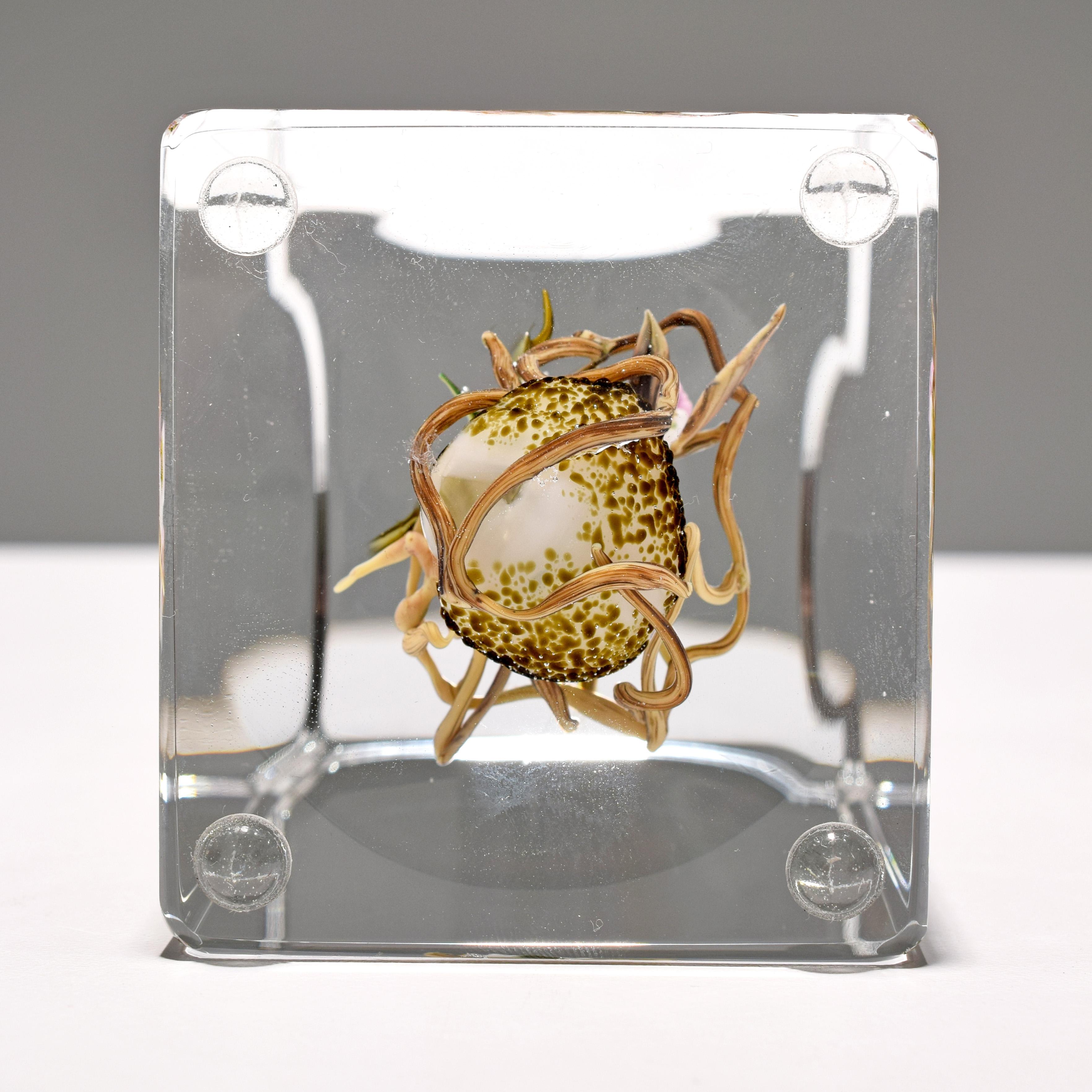stankard glass art