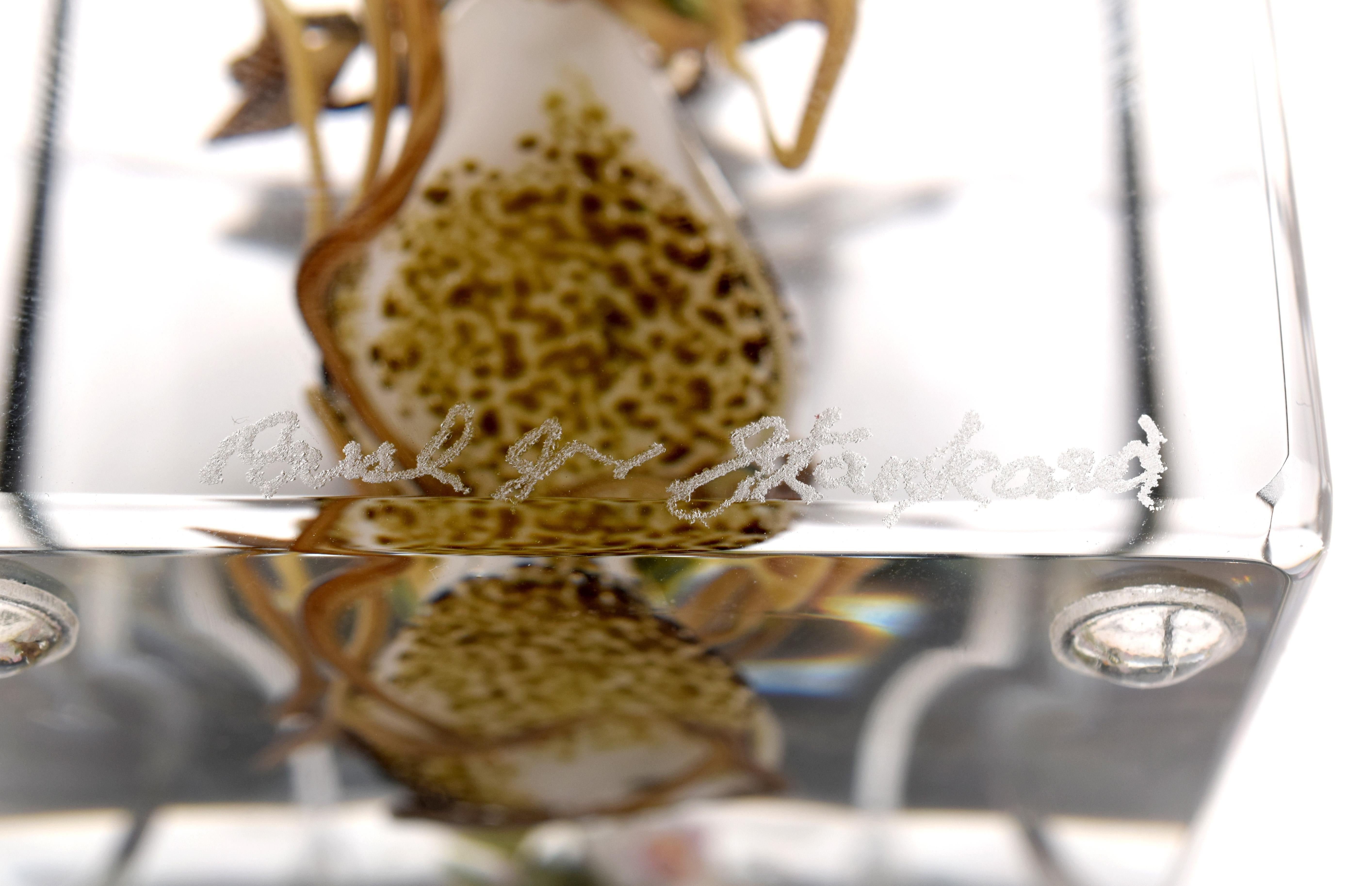 Additional Information: The paperweight details include a root person and flowers. Provenance: Private Collection, Palm Beach, Florida. “What Walt Whitman did with words, I seek to do in glass on a visual level. My passion is to articulate fresh