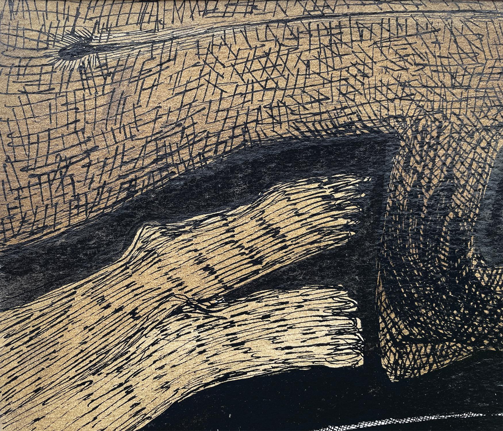Jolanta Johnssons, artista polacca di grande esperienza, laureata all'Academy of Fine Arts di Varsavia, dottore di ricerca in Belle Arti, insegnante universitaria. Attualmente vive in Svezia. Ecco come scrive del disegno:

Corpi nascosti. Non sono