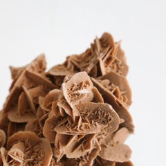 MOROCCAN SELENITE B / Desert Rose