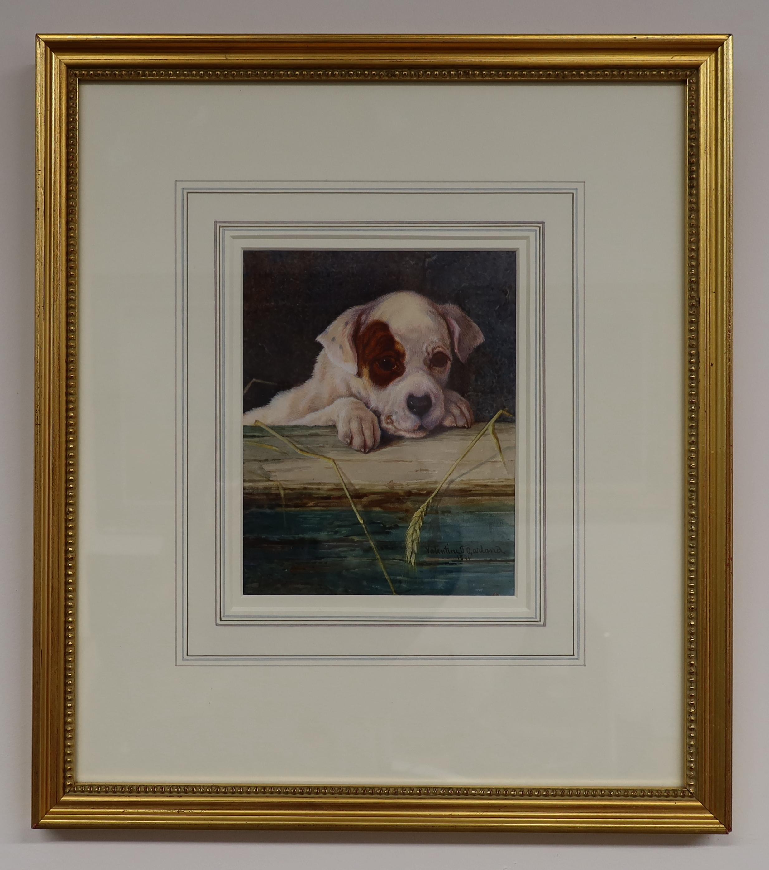 Valentine Thomas Garland, R.A., R.B.A., R.I., R.O.I., R.S.A. (1868 - 1914)
INQUISITIVE
Signed and dated 1891, lower right.
Watercolour and body colour
Frame H. 45cm. x W. 39cm.
Image H 19cm. x W. 15cm.

The watercolour depicts a puppy looking