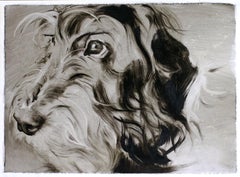 Marx. Dog portraits