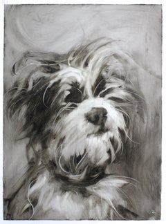 Maltese dog. Dog portraits