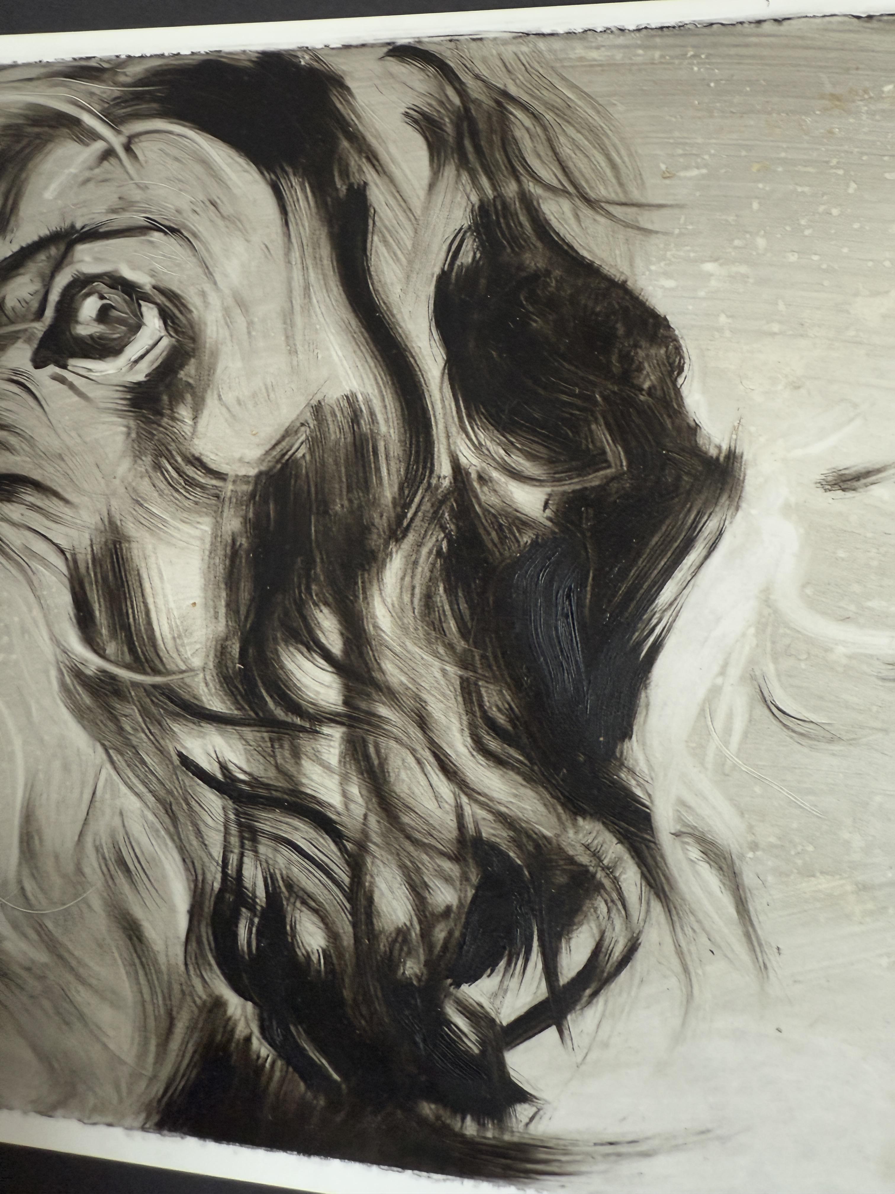 Marx. Portraits de chiens - Gris Animal Art par Marina Skepner