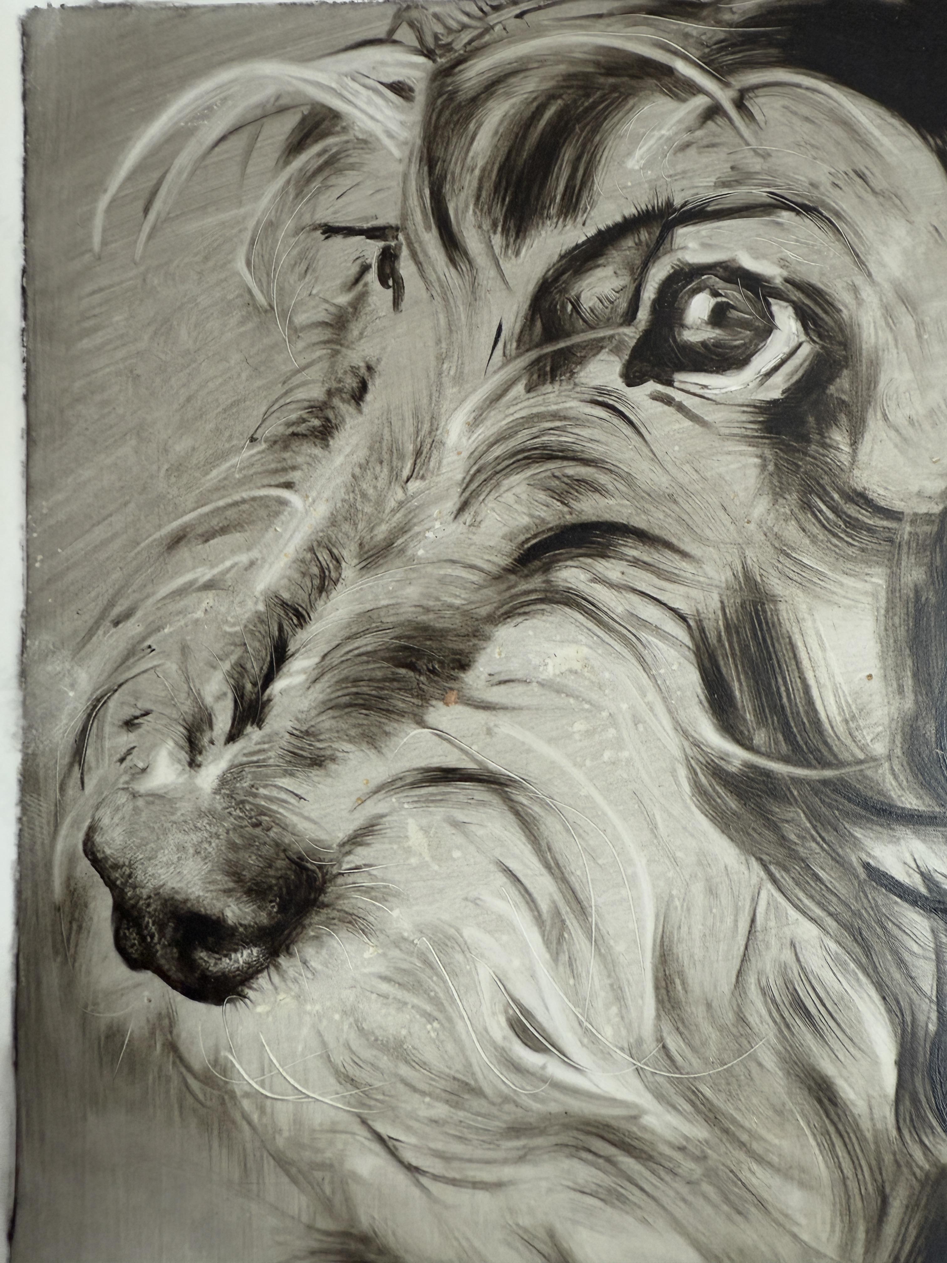 Marx. Portraits de chiens - Réalisme Art par Marina Skepner