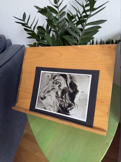 Marx. Dog. Dachshund. Animals. Dogs. small. Black. White.