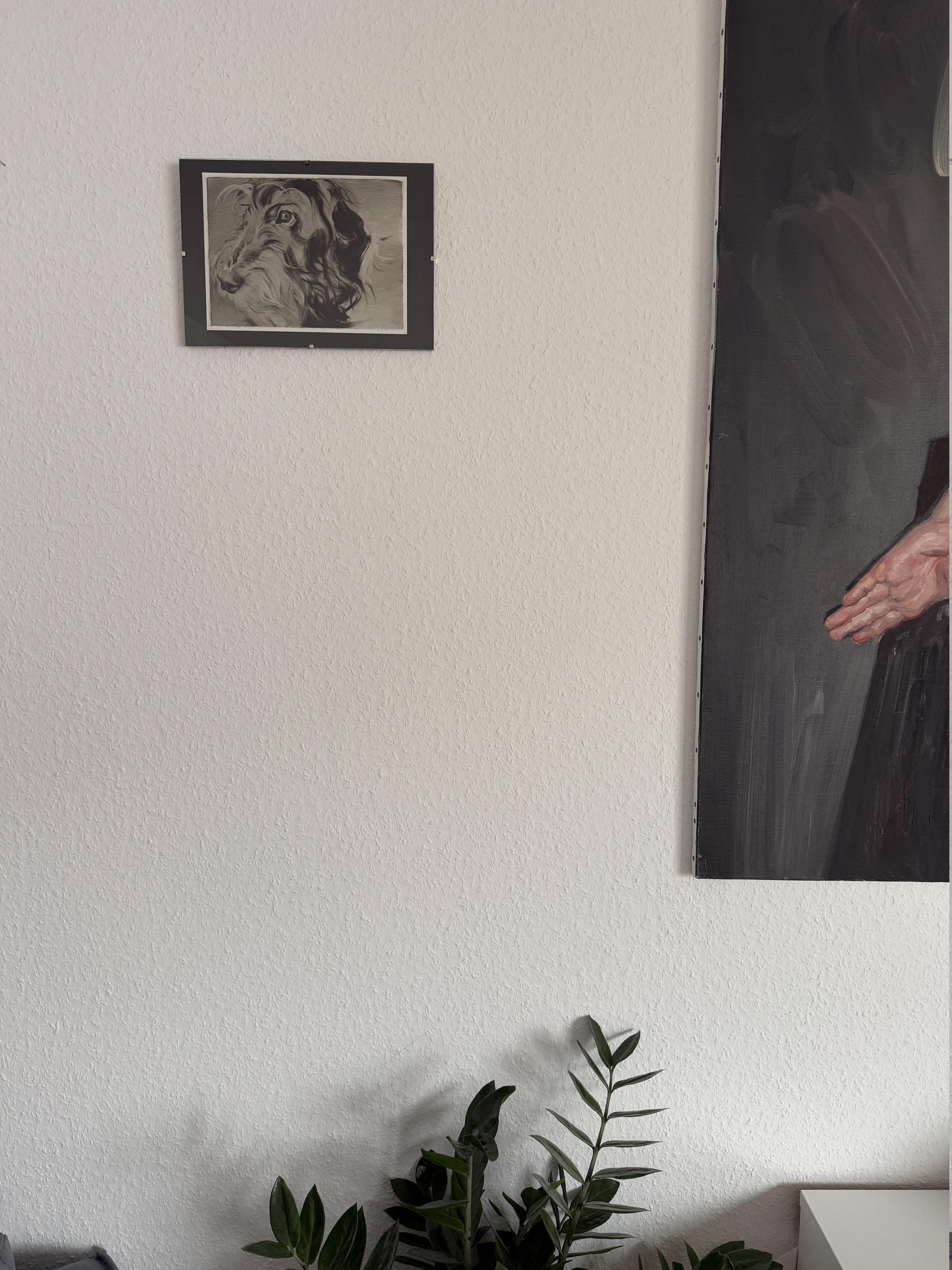 Marx. Portraits de chiens en vente 2