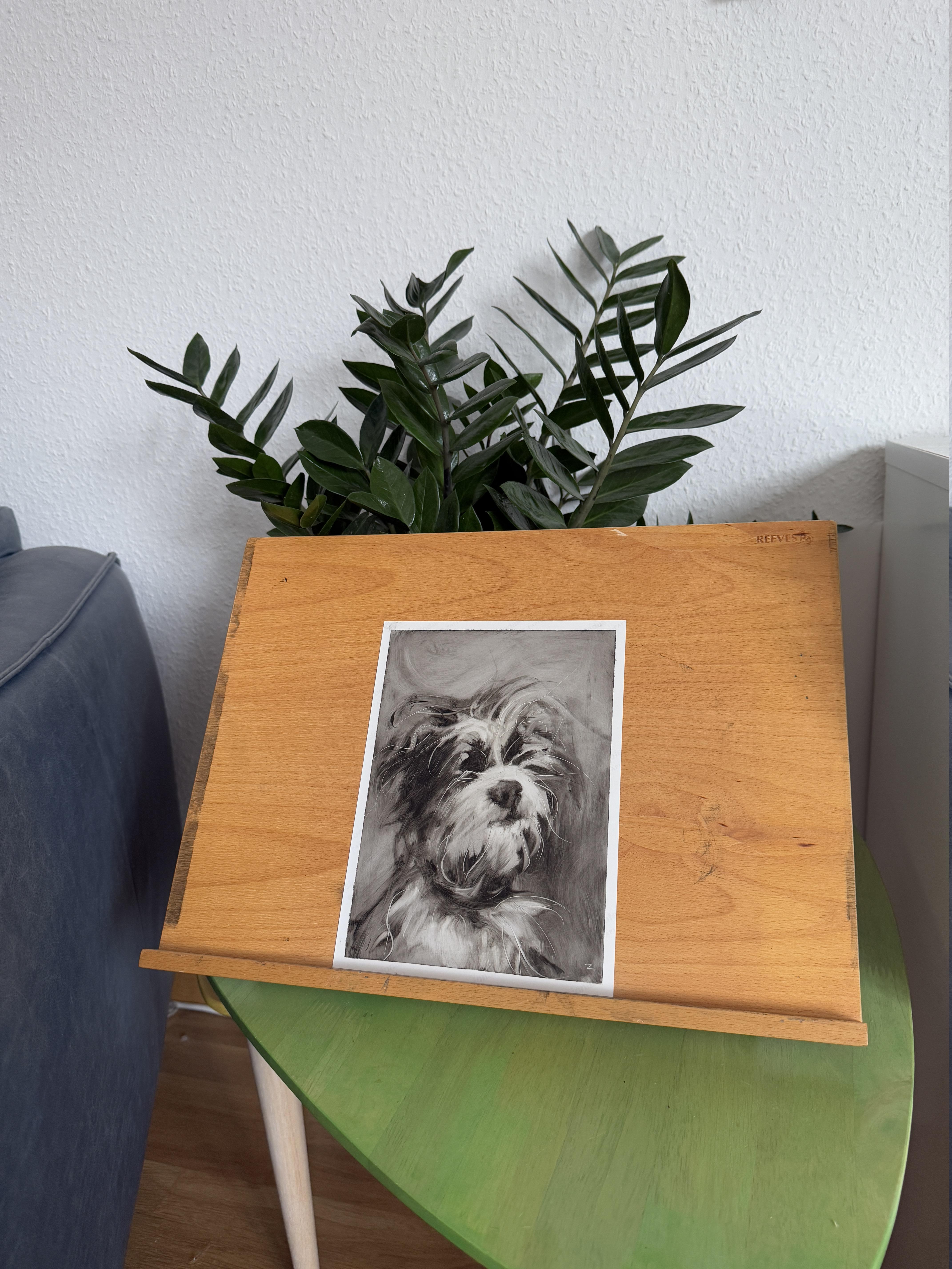 Chien maltais. Portraits de chiens - Art de Marina Skepner