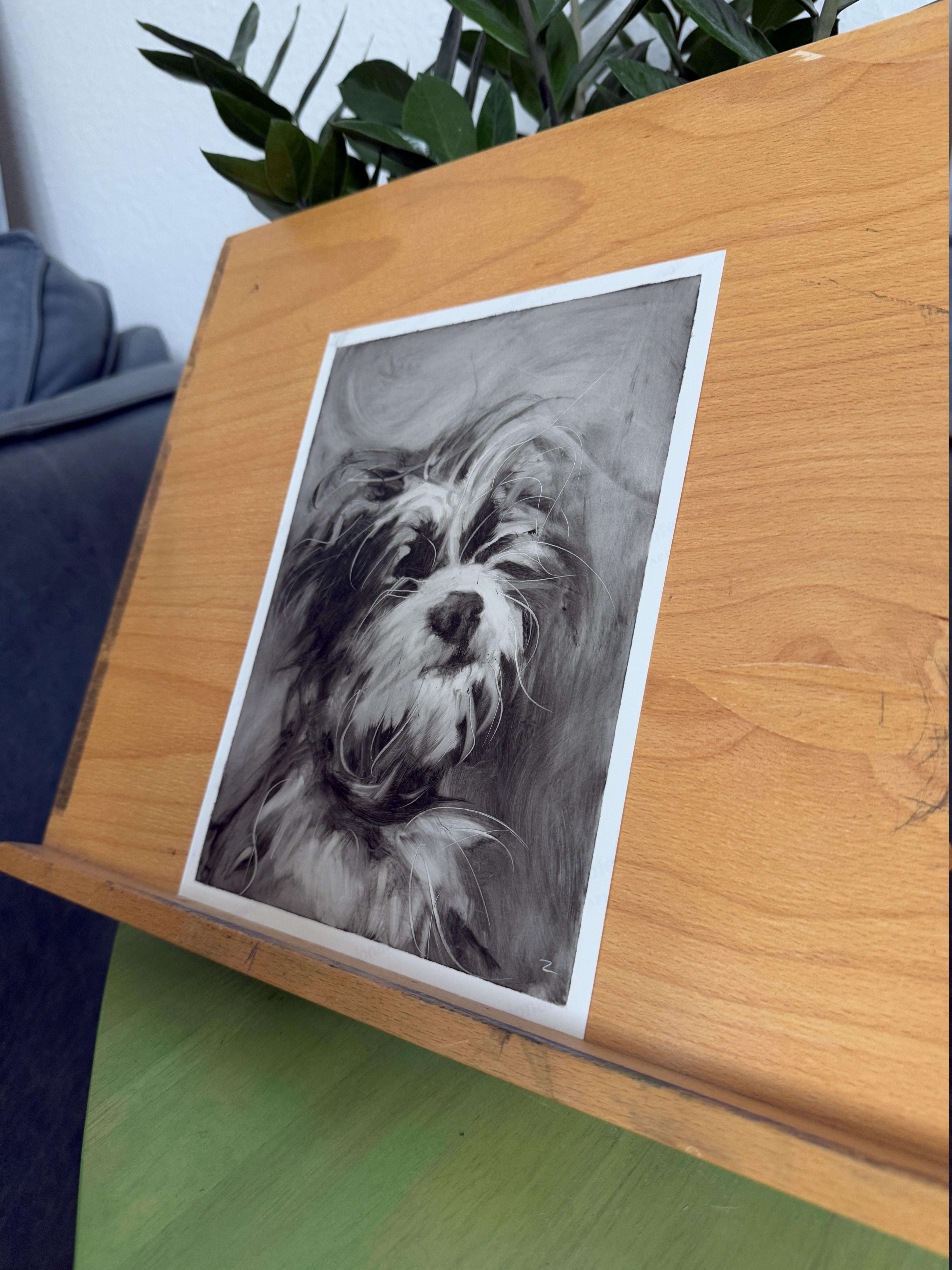 Chien maltais. Portraits de chiens - Gris Animal Art par Marina Skepner