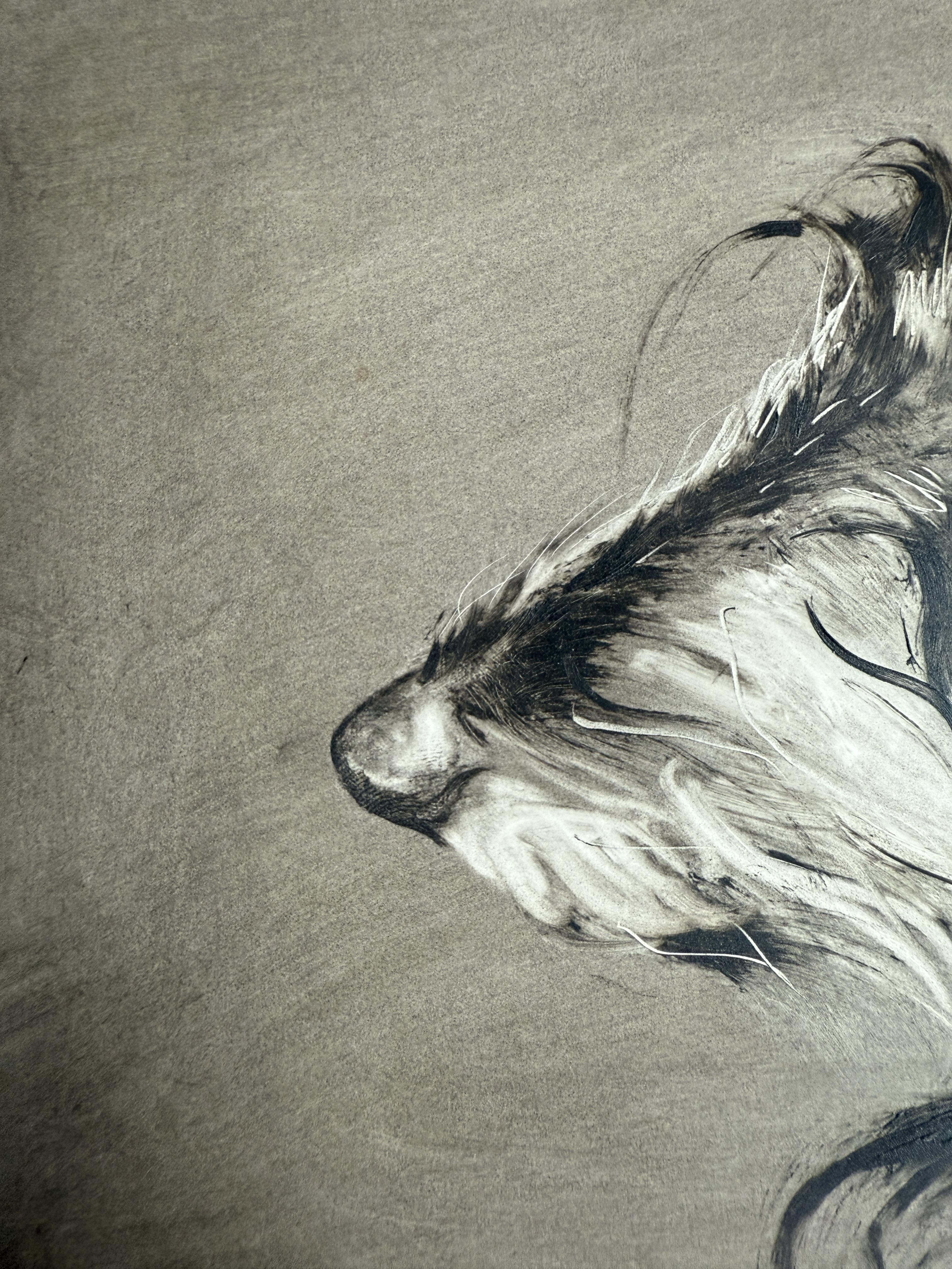 Teckel. Portraits de chiens - Art de Marina Skepner