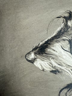 Dachshund. Dog. Black. Small. Animals. Dogs. Realism