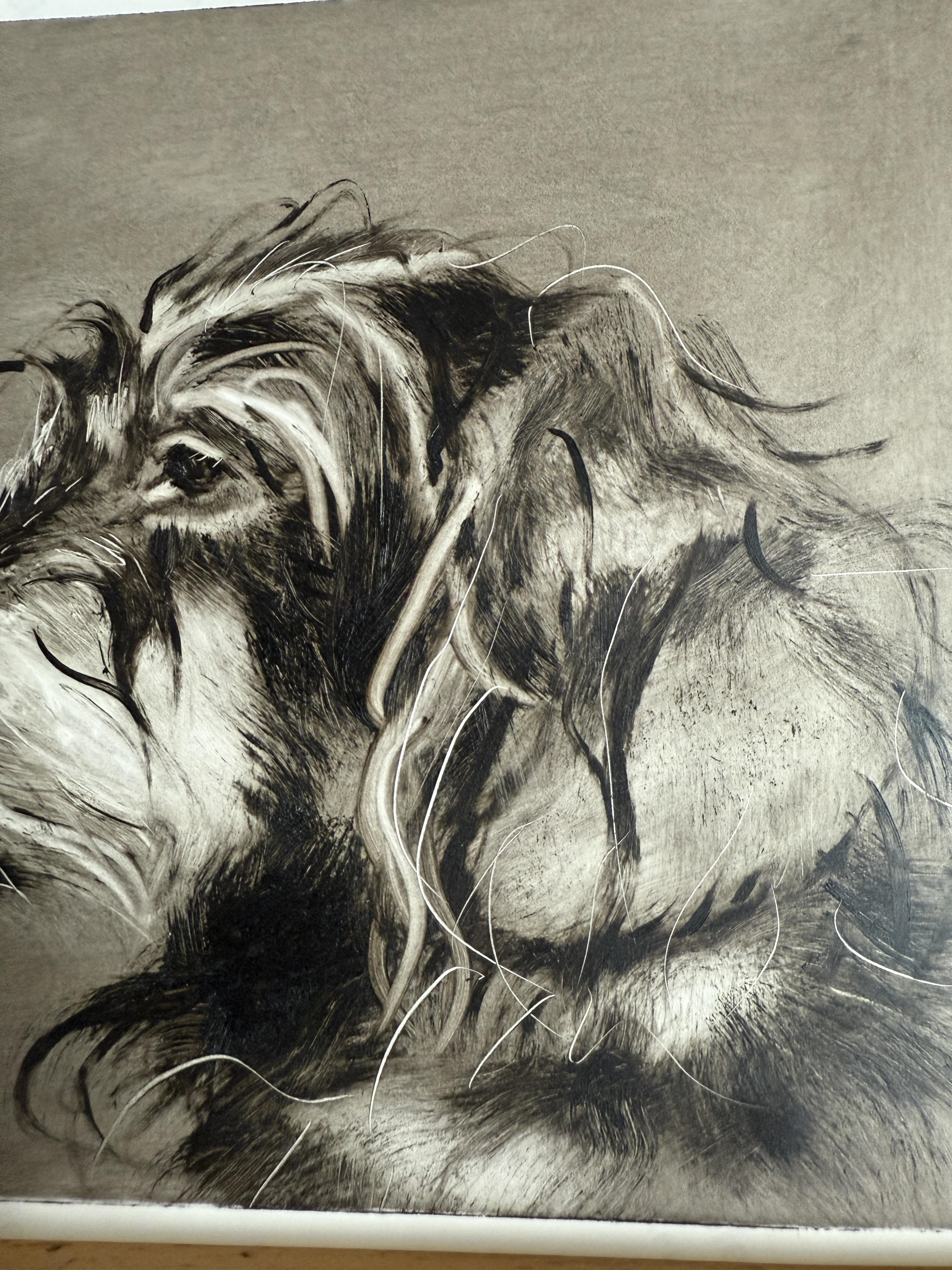 Cette œuvre, petite mais élégante, est un portrait en noir et blanc d'un chien. Elle est peinte selon la technique caractéristique de l'huile sur papier photographique (au verso). Le papier photographique épais et plastifié est un excellent support,