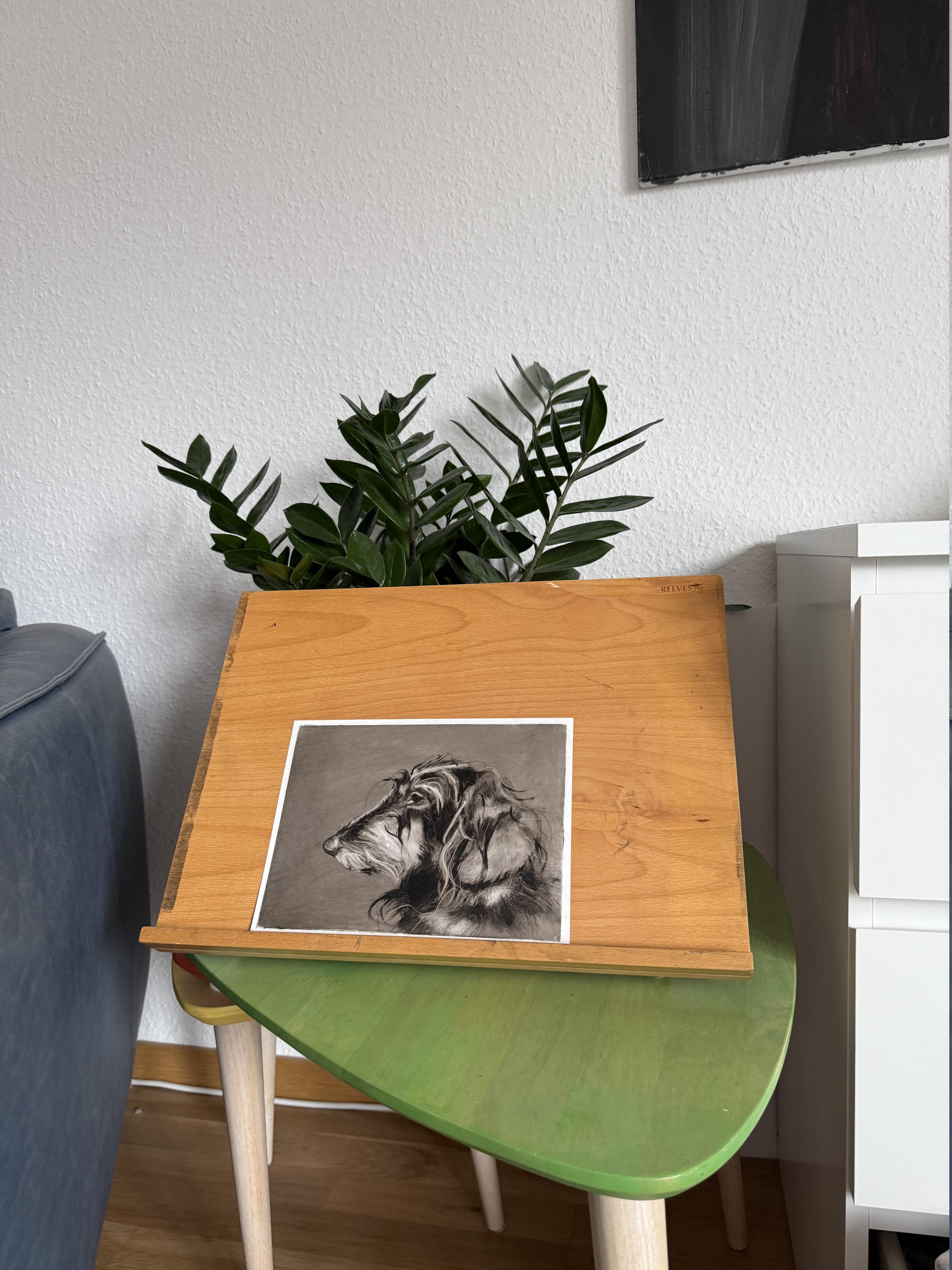 Teckel. Portraits de chiens en vente 2