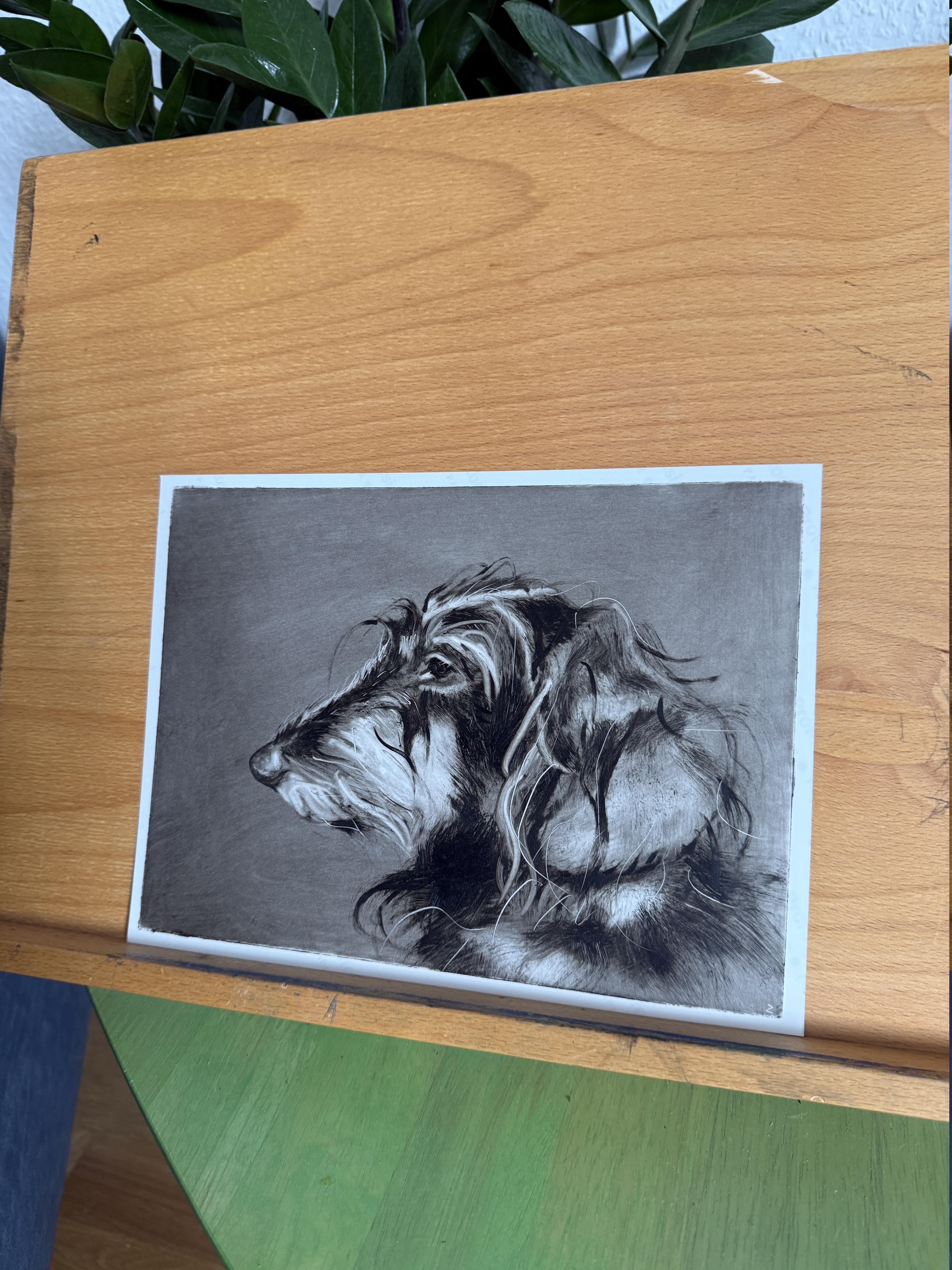 Teckel. Portraits de chiens en vente 1