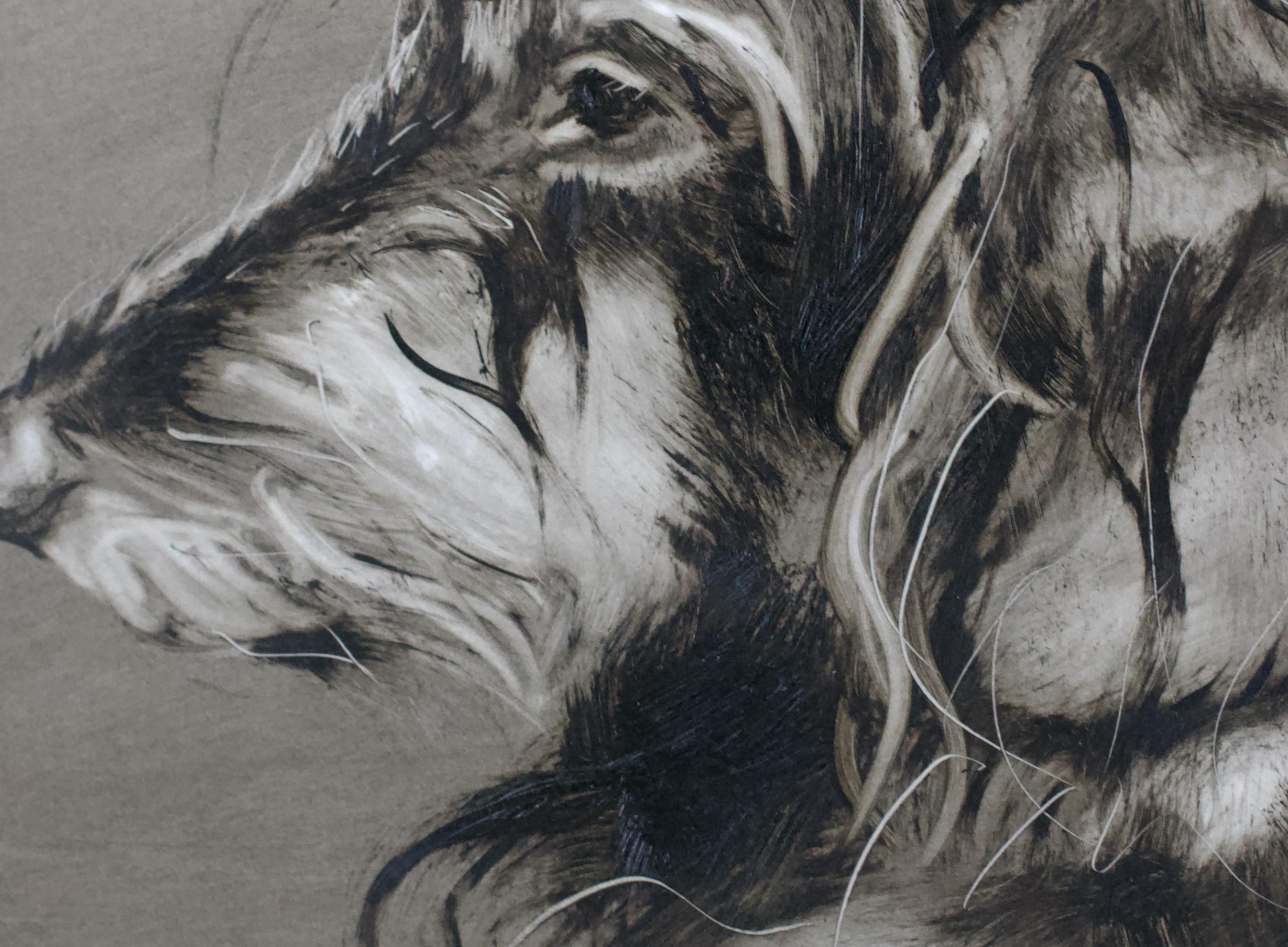 Teckel. Portraits de chiens en vente 4