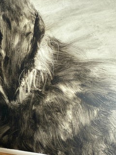 Na und? Dog. Dachshund. Animals. Dogs. Small. Black.