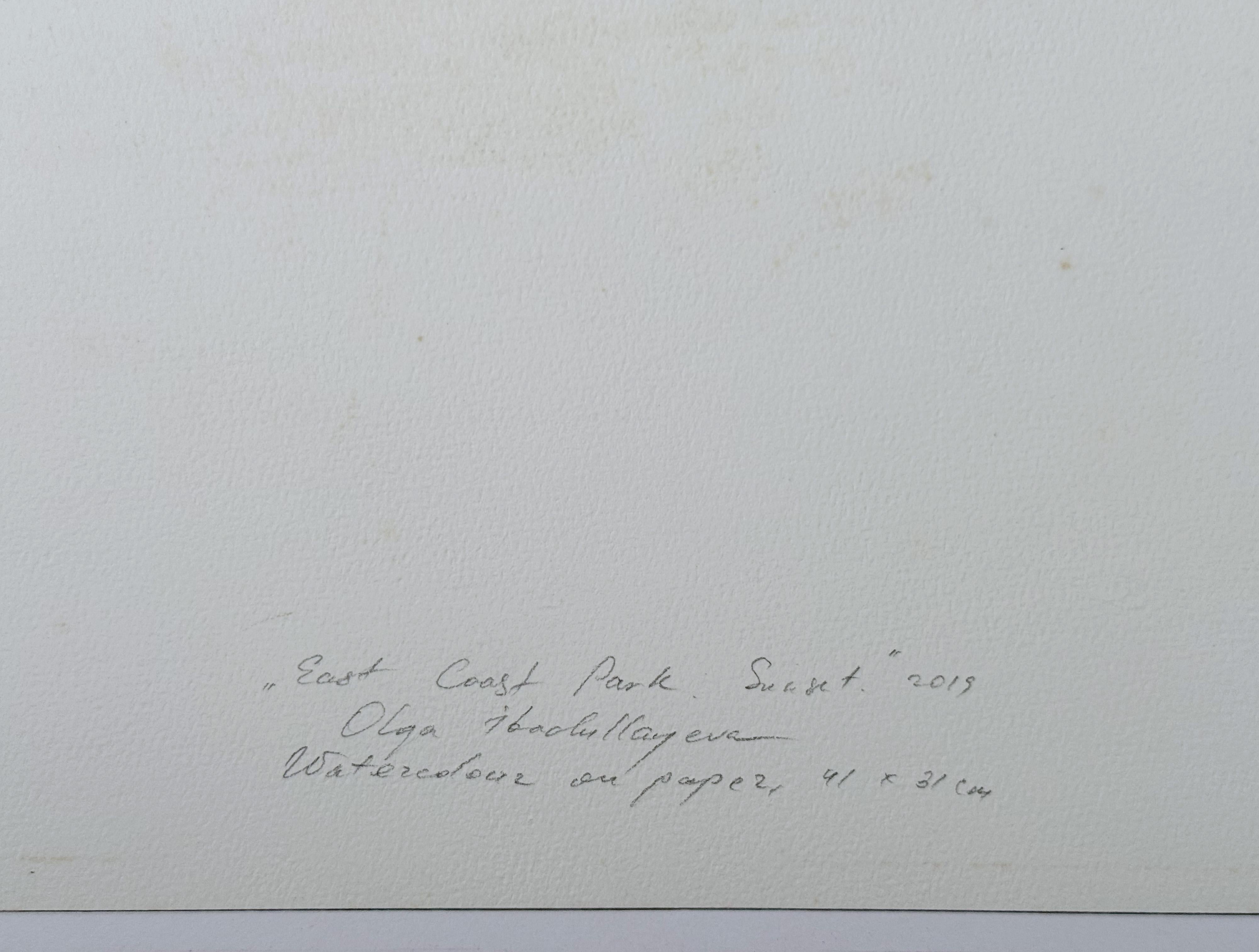 Parco della Costa Est. Tramonto in vendita 5