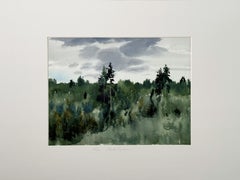 Scandinavian Landscape