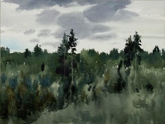 Skandinavische Landschaft