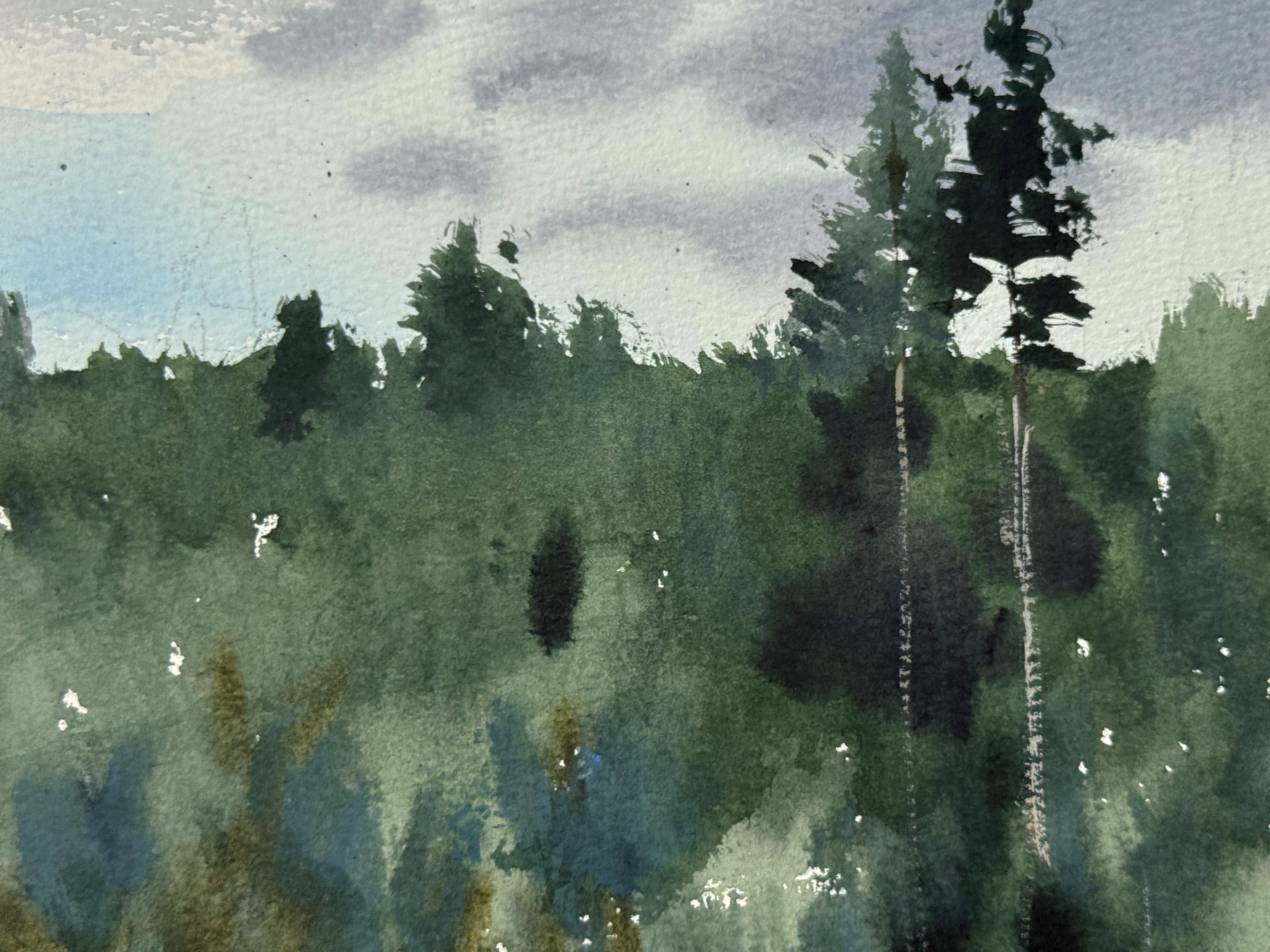 Paesaggio scandinavo in vendita 2