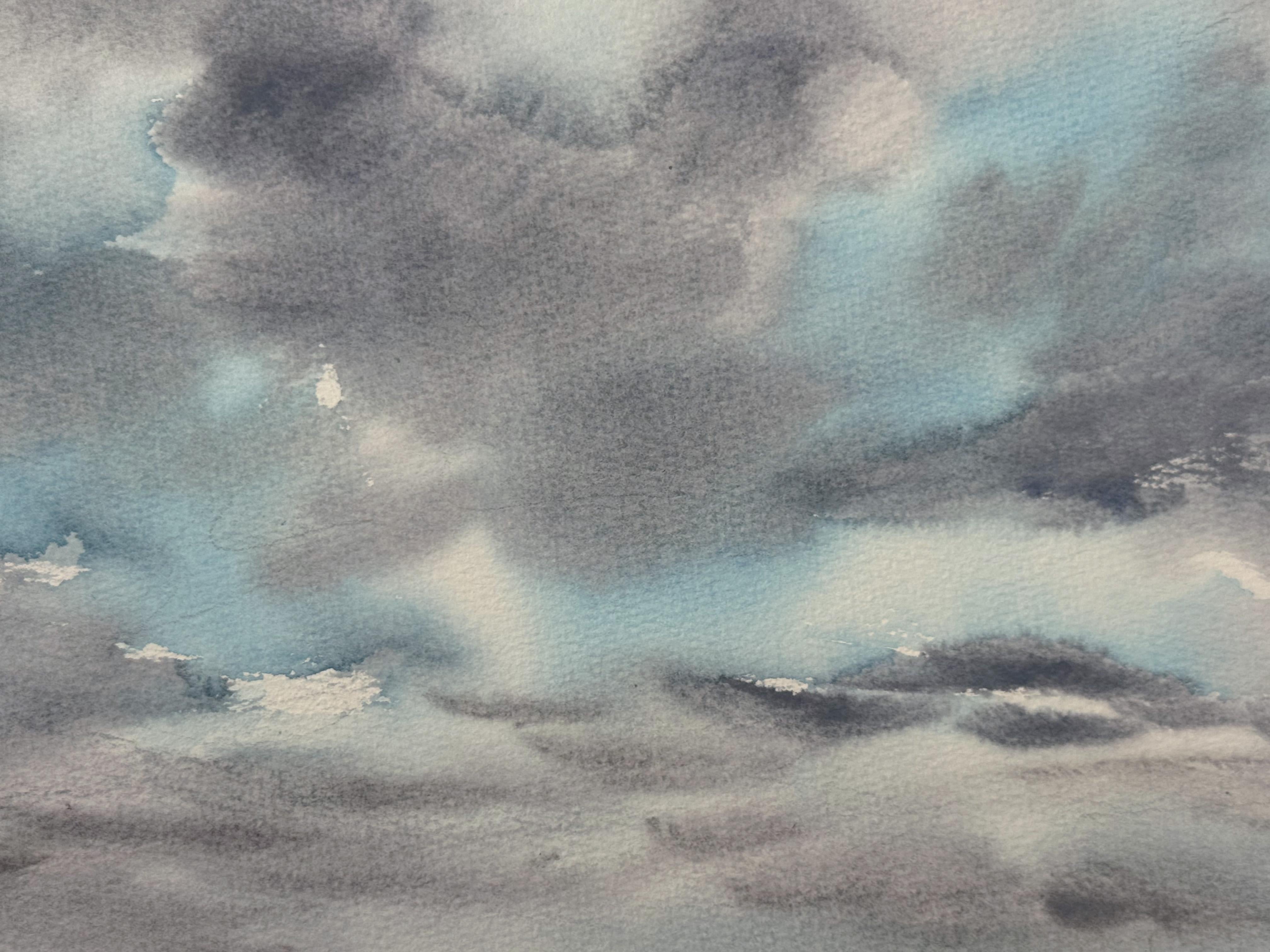 Una giornata nuvolosa in vendita 2