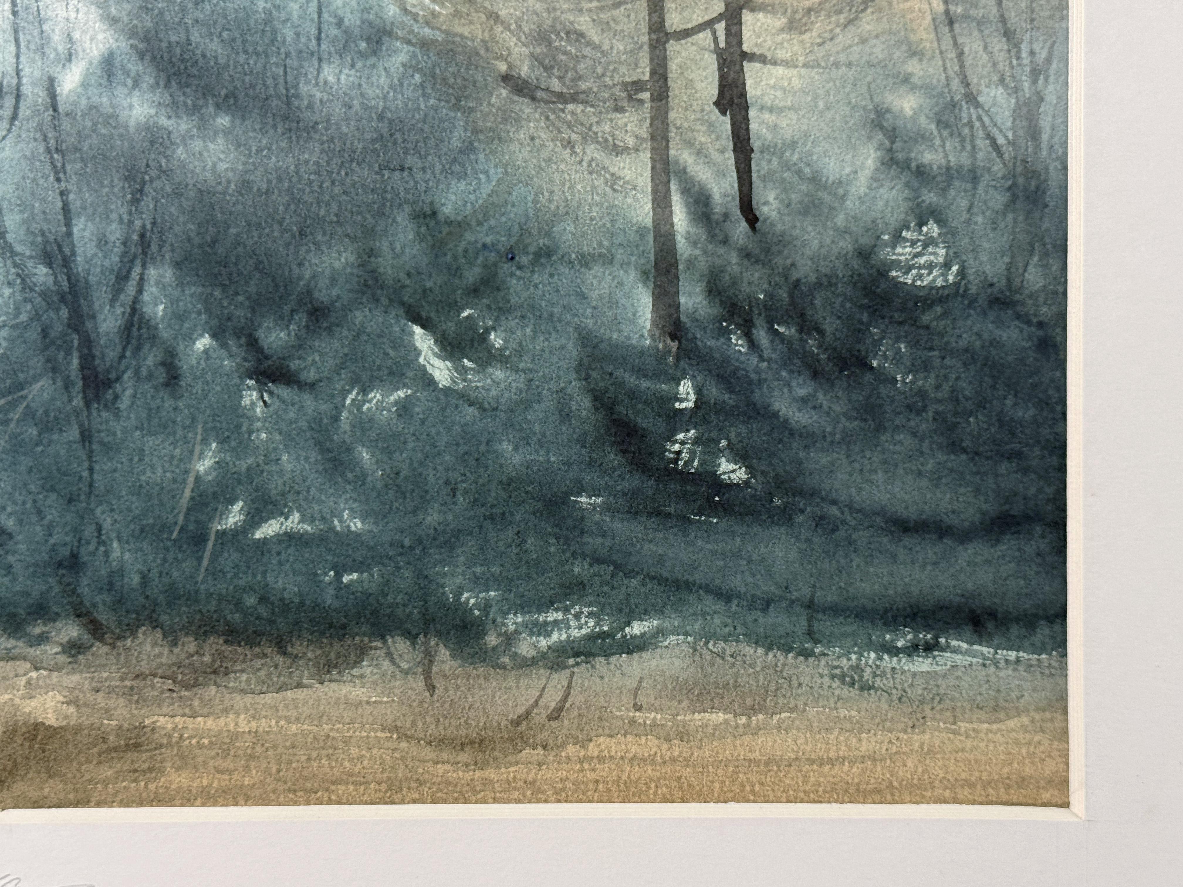 Forest in the Alps in vendita 6