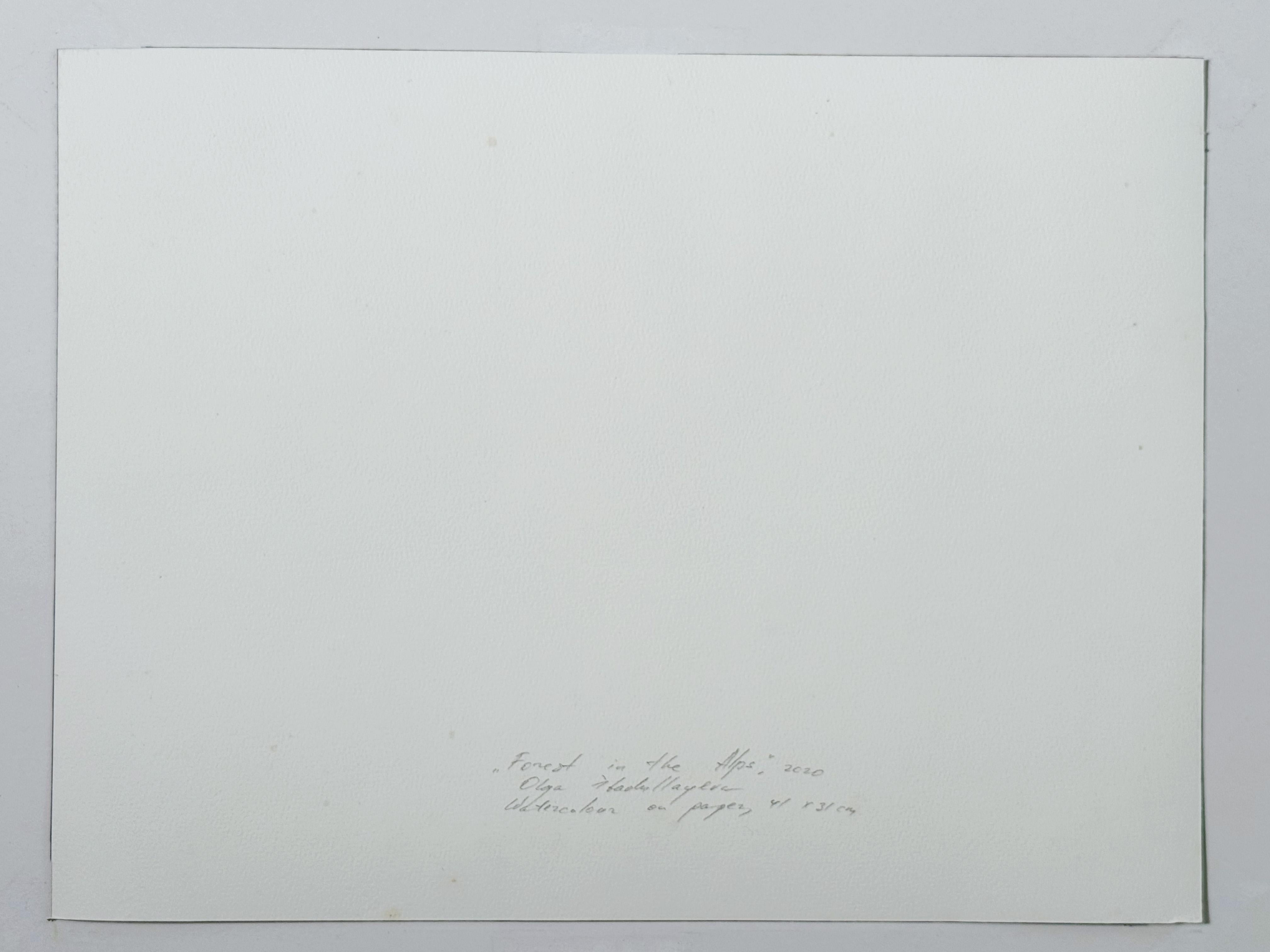 Forest in the Alps in vendita 9