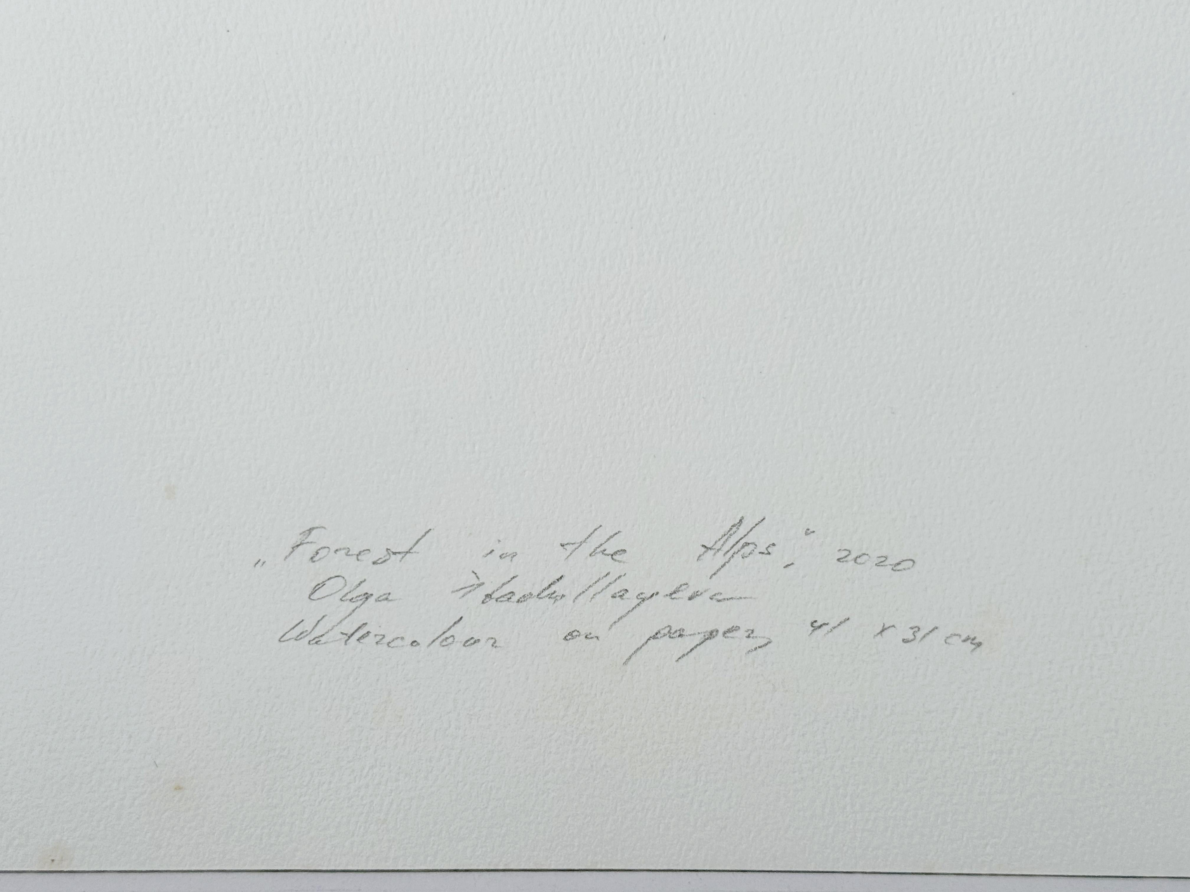 Forest in the Alps in vendita 10