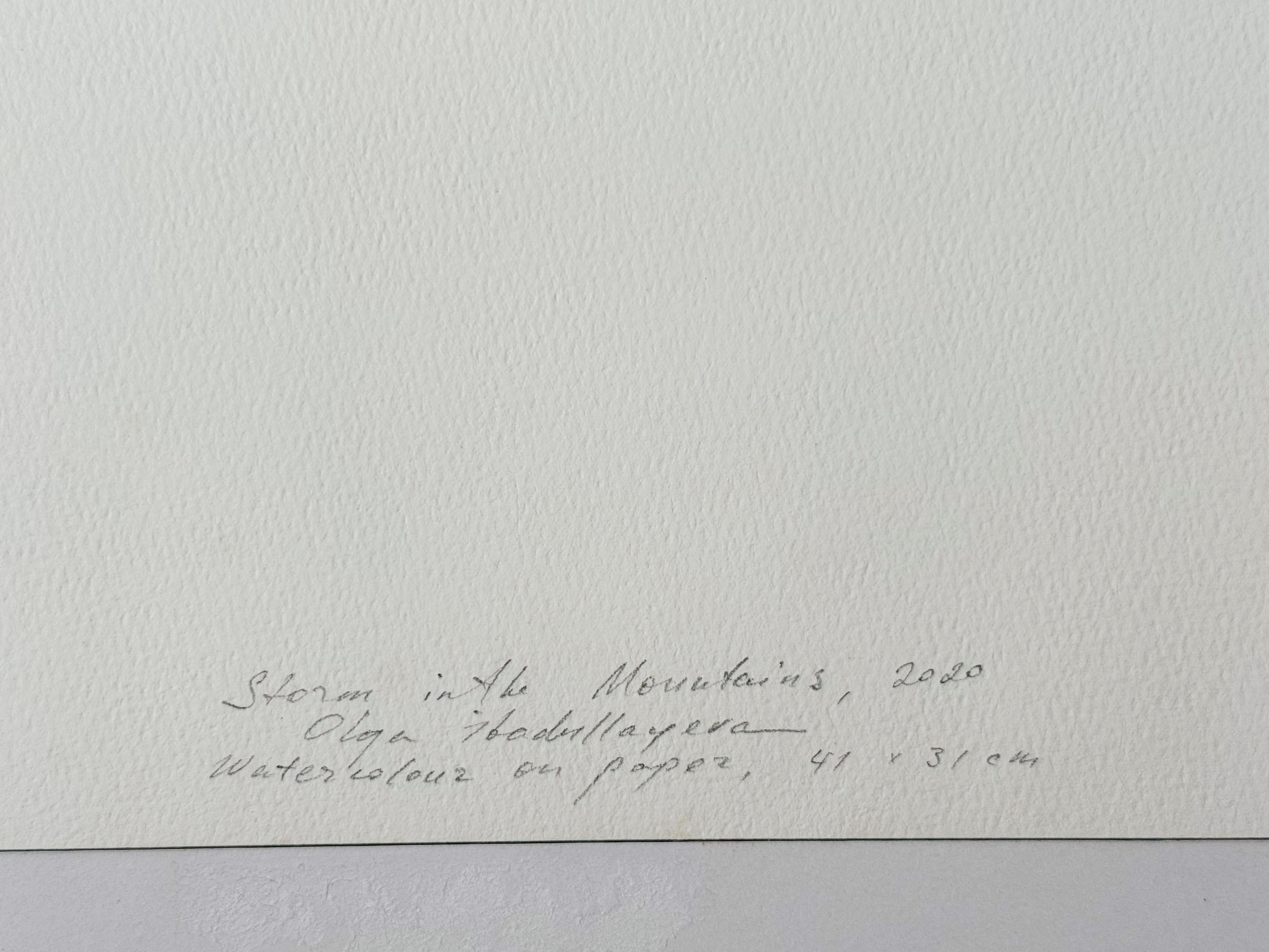 Storm in the Mountains im Angebot 4