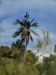 Selva Tropical. Tras la puesta de sol