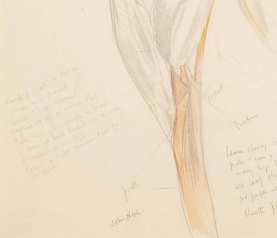 Blumenstudie (Calla-Lilie)