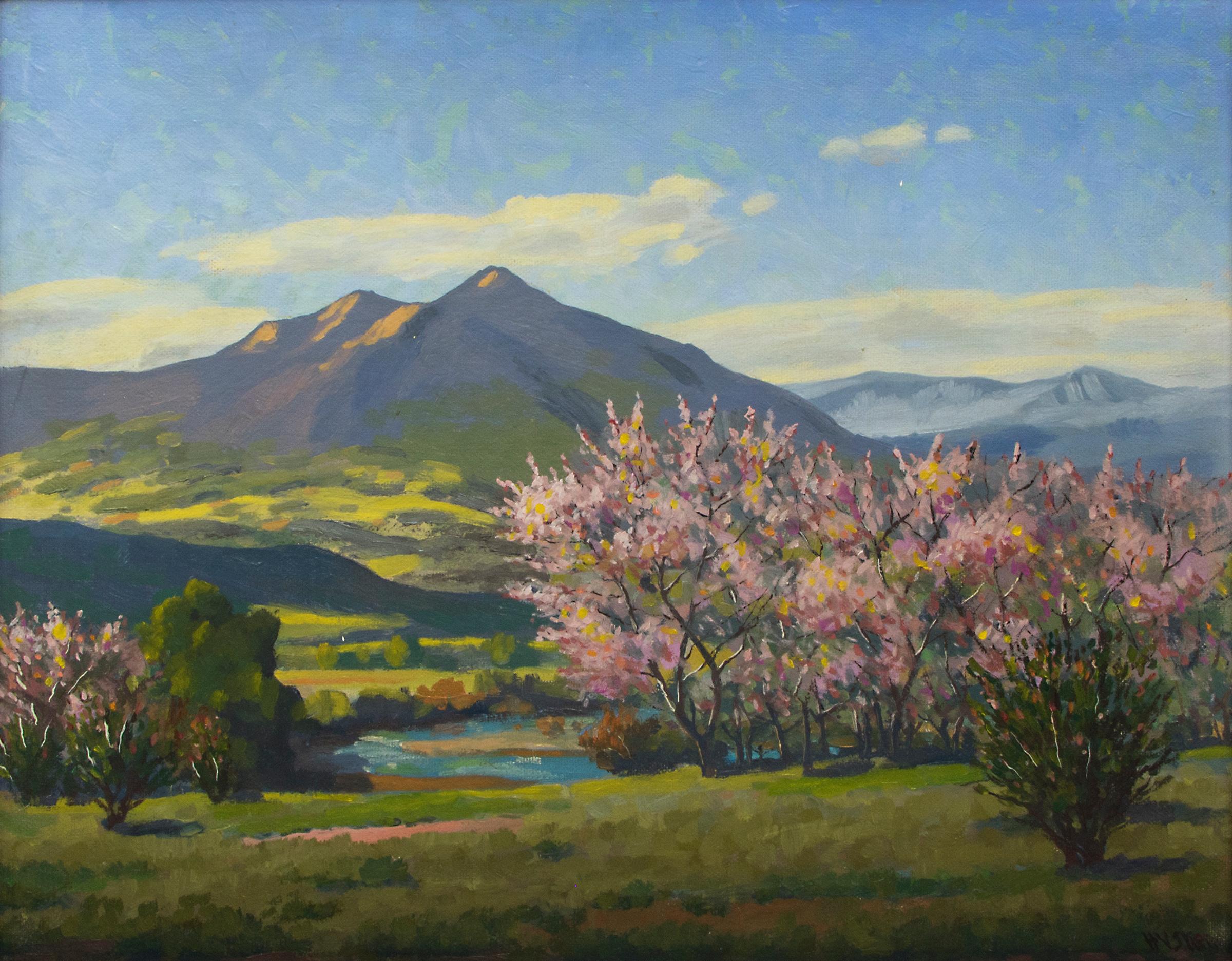 Peach Blossoms - Painting by Harold Skene