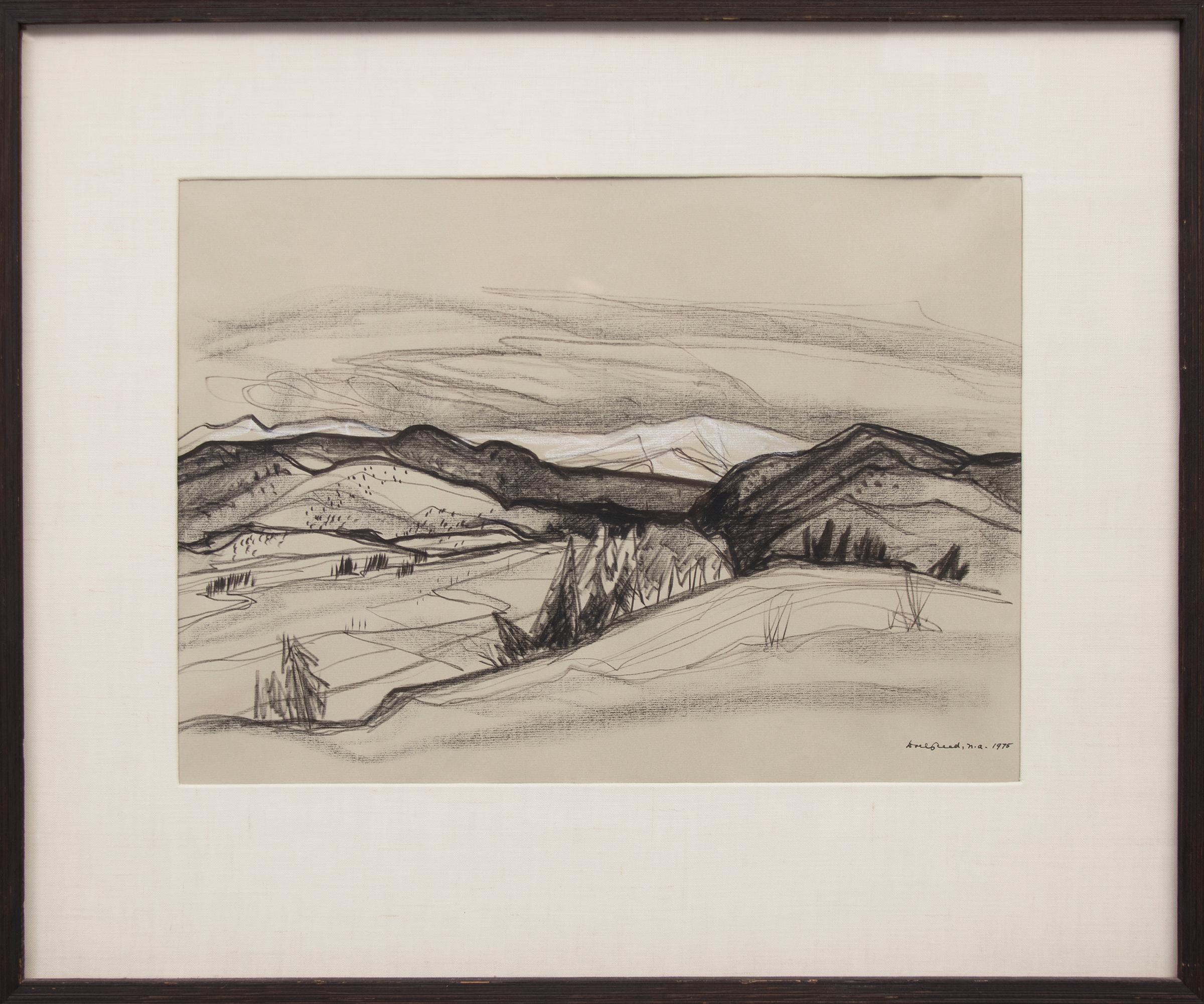 Untitled (Original Drawing of a New Mexico Landscape) - Art by Doel Reed