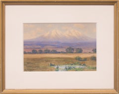 The Spanish Peaks, Southern Colorado, Vintage Mountain Landscape, Purple Gold 