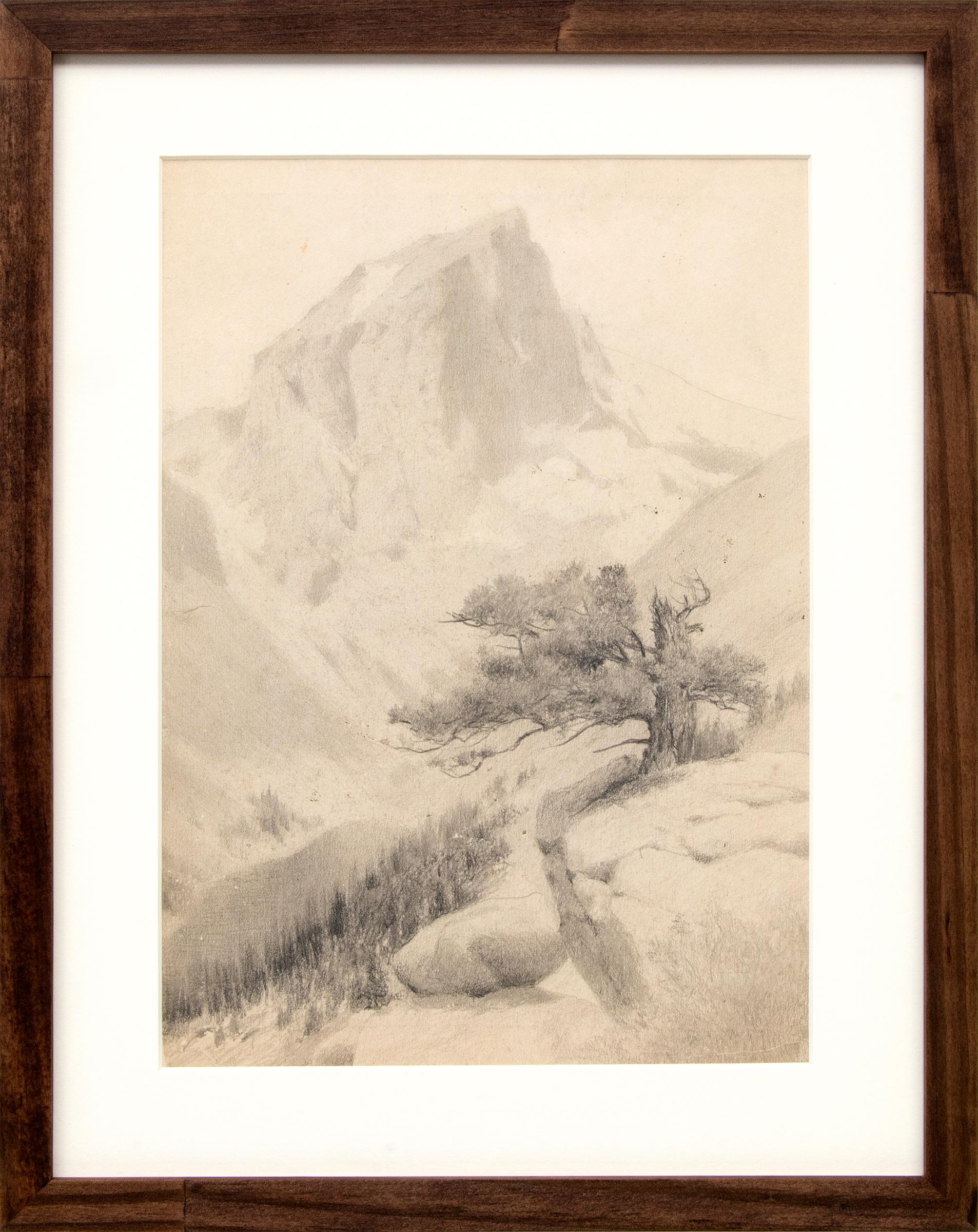 Mountain Peak and Twisted Pine, Early 20th Century Colorado Landscape Drawing - Art by Charles Partridge Adams