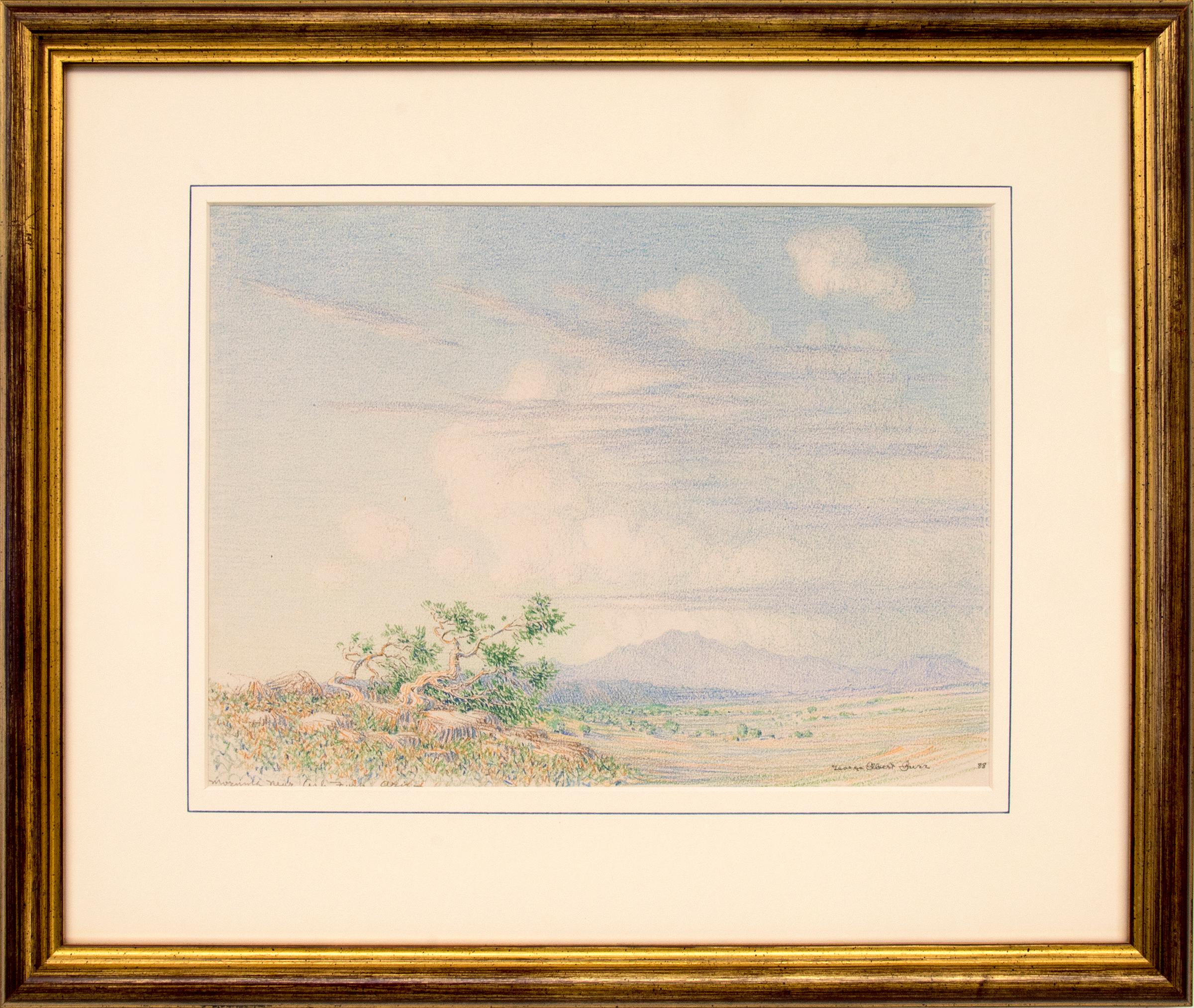 George Elbert Burr Landscape Art - Morning Near Arizona, 1880s Summer Southwestern Desert Landscape Drawing