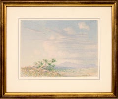Morning Near Arizona, 1880s Summer Southwestern Desert Landscape Drawing