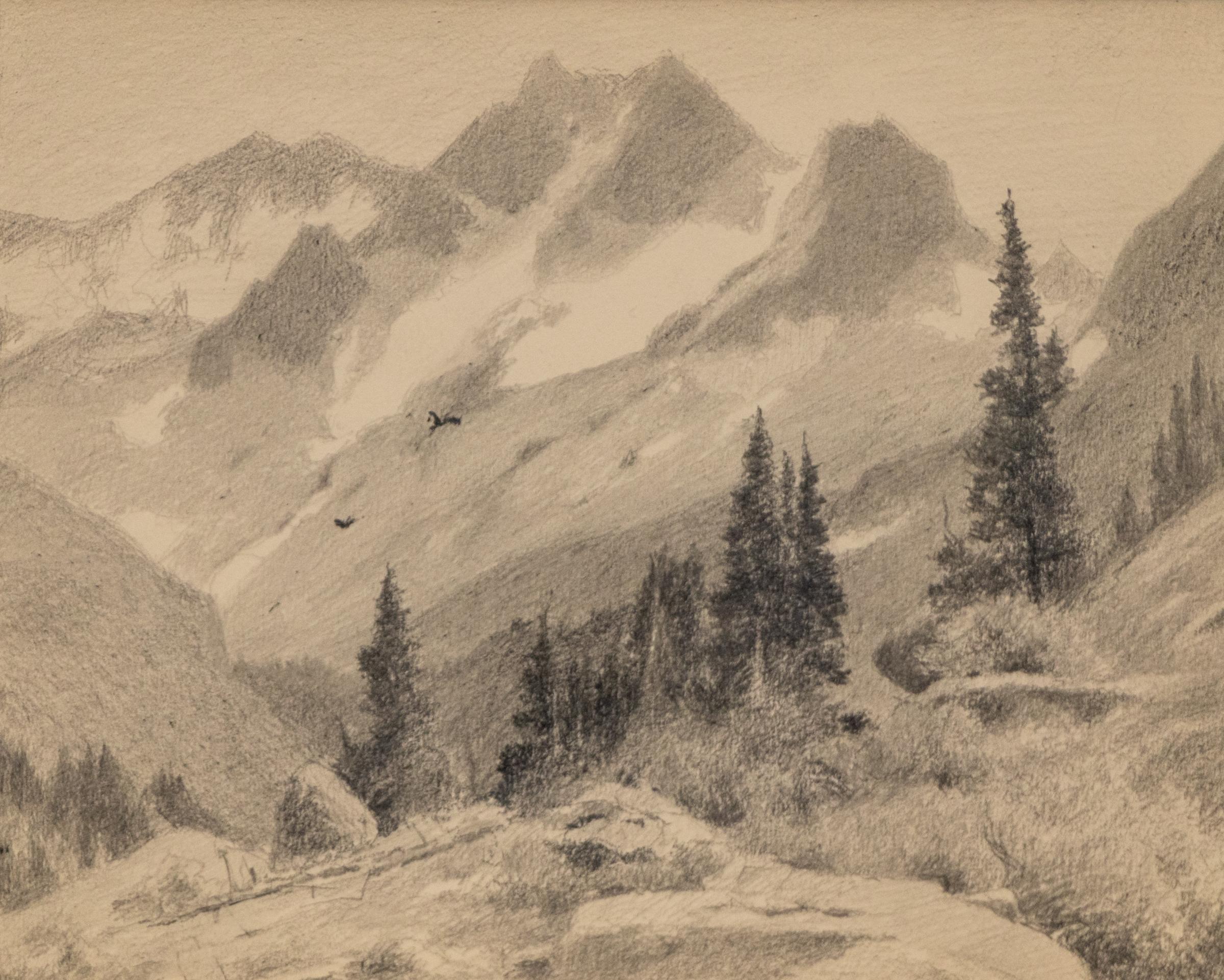 Colorado Mountain Landscape with Birds, Plein Air Graphite Field Sketch